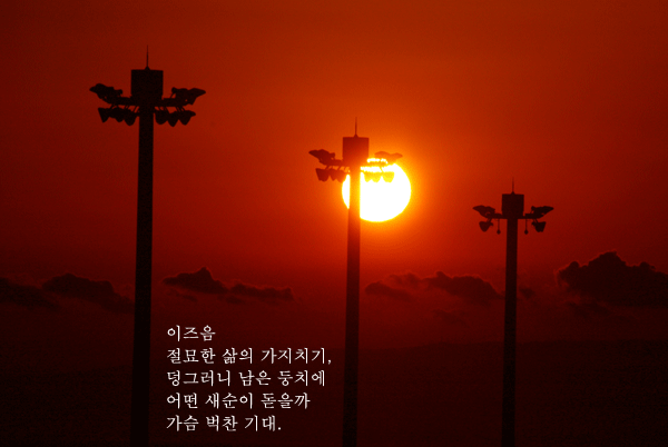 d35a119f69041.png