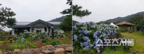KakaoTalk_20200709_173758751