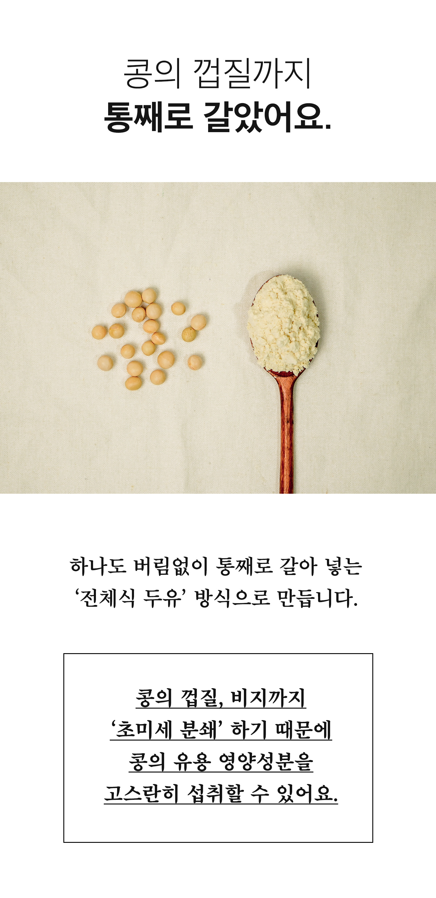 가루선생