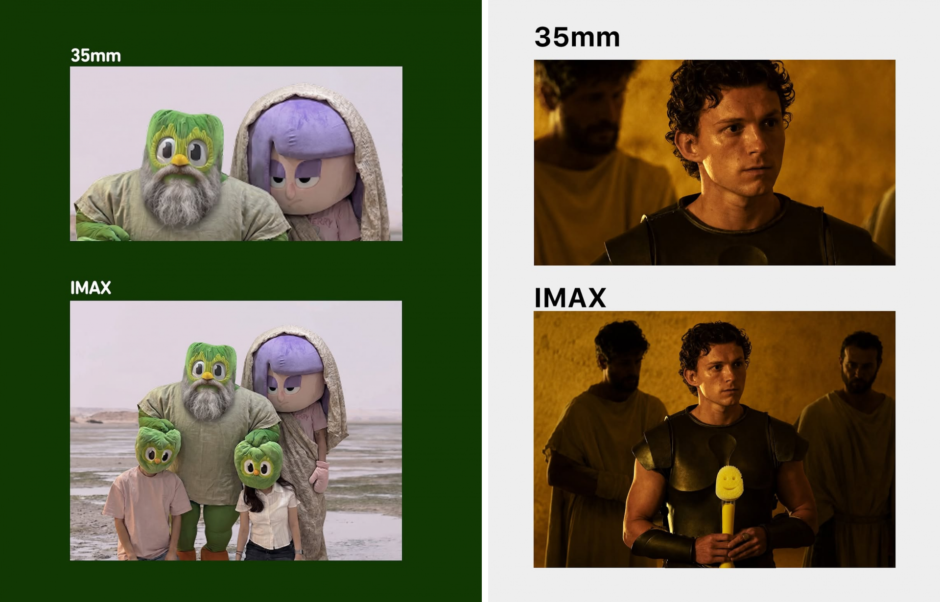 1268d930be043.png