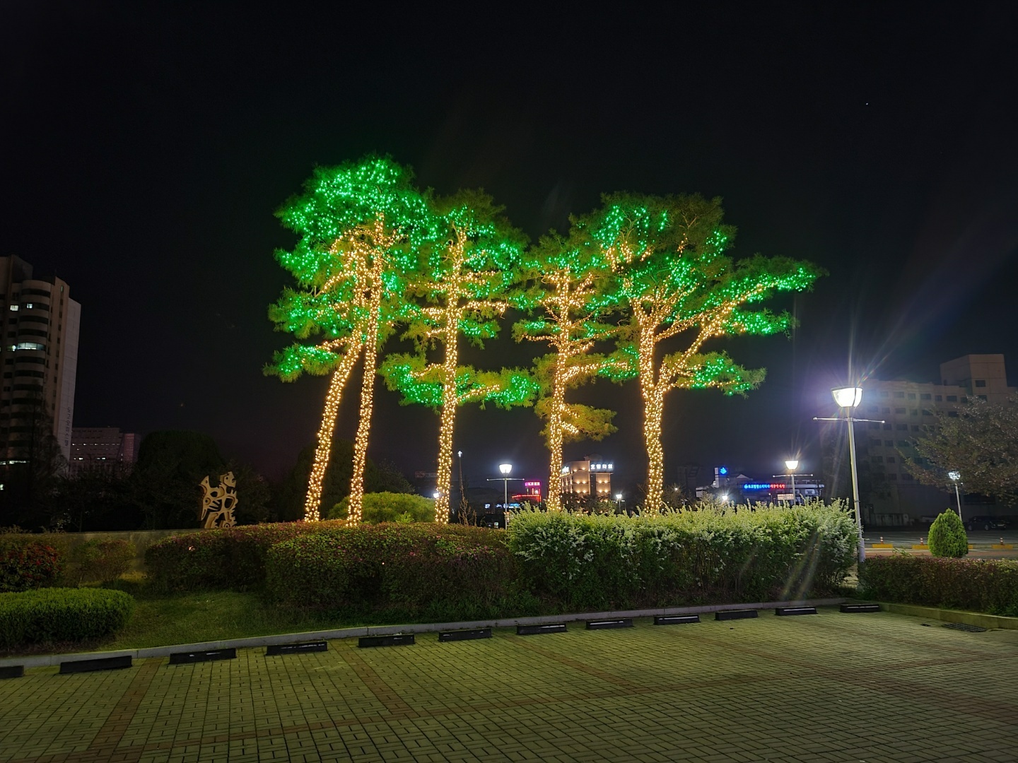 1ba268109b06a.jpg