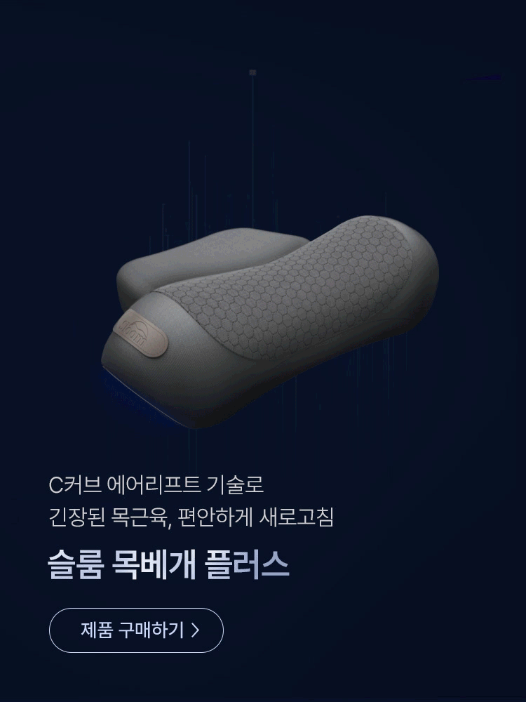 슬룸 목베개플러스 목 베개