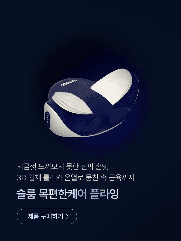 슬룸 목편한케어플라잉