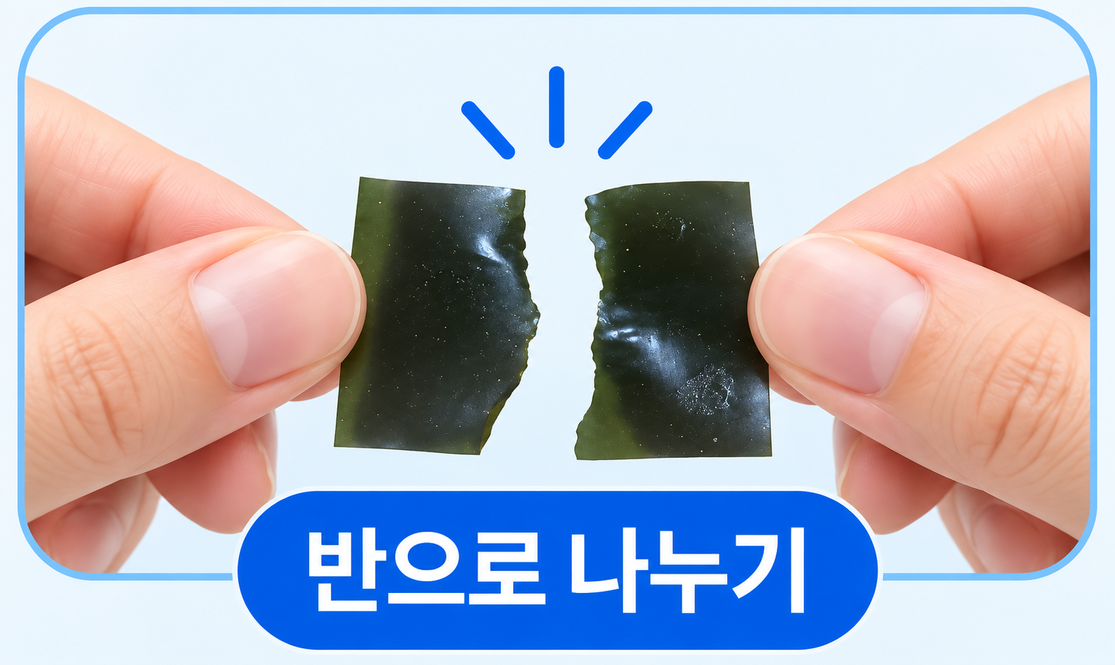 실물 필름 형태를 반영한 반으로 나누기
