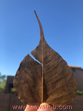 0272c53c398f0.jpg