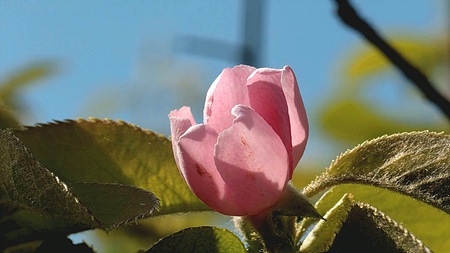 22a54664aa810.jpg