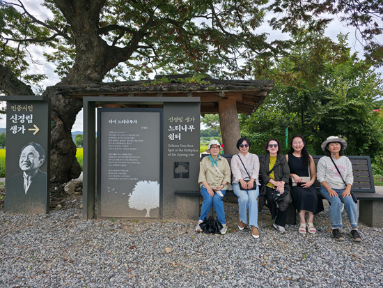 b6cac7d206c6e.jpg