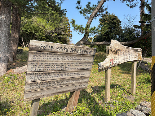 c46b7d7358599.jpg