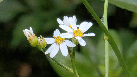 d601ccbadd9fd.jpg