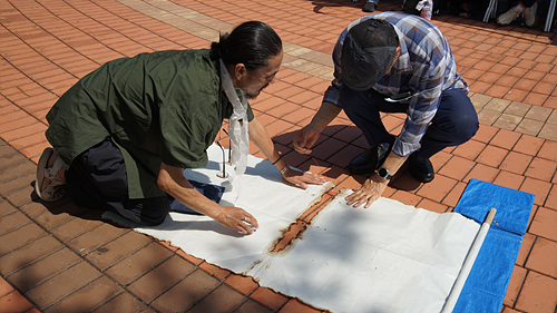 df22fbc3209f0.jpg