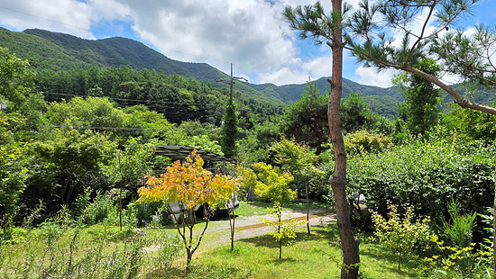 e0797825764a5.jpg