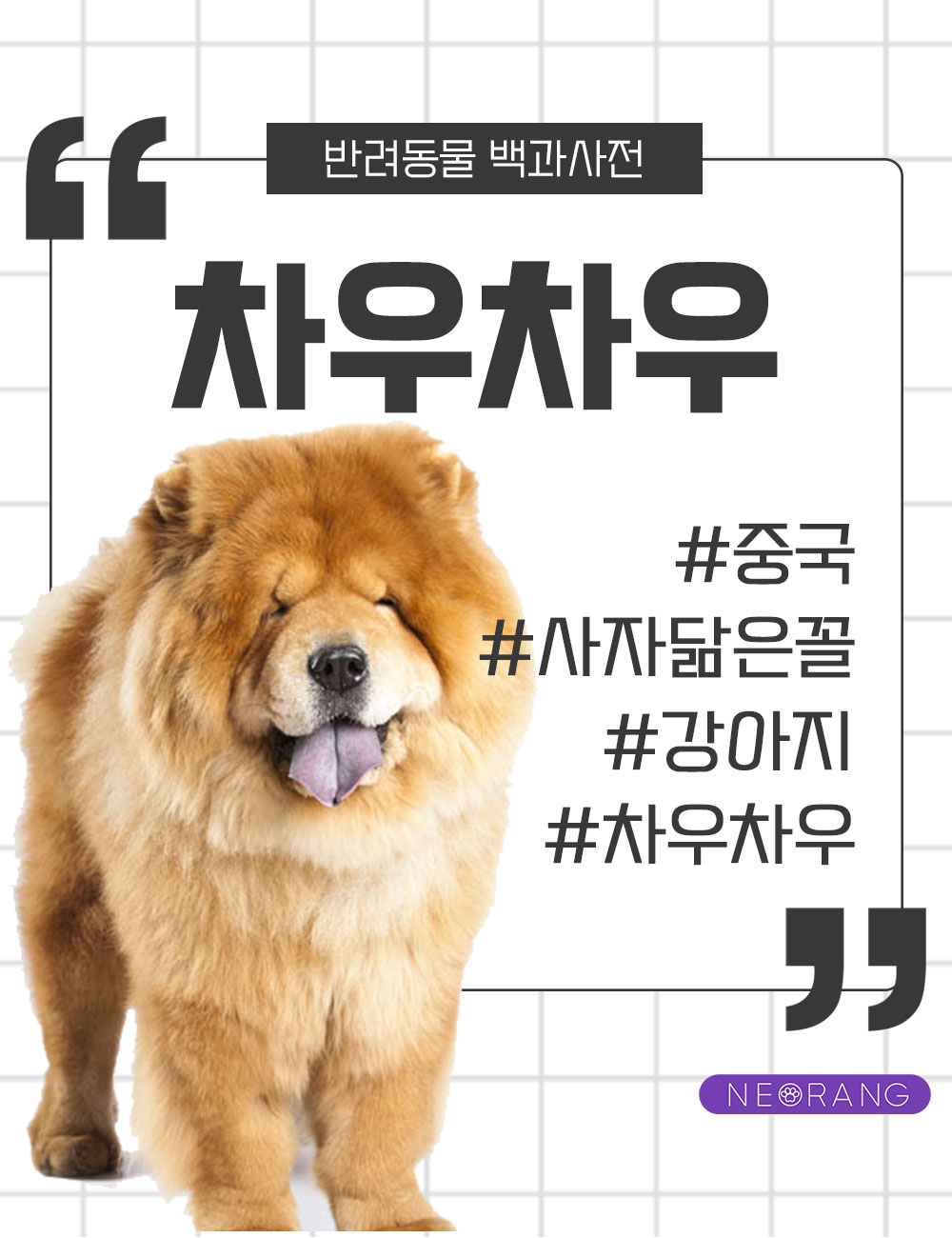 차우차우 : 너랑