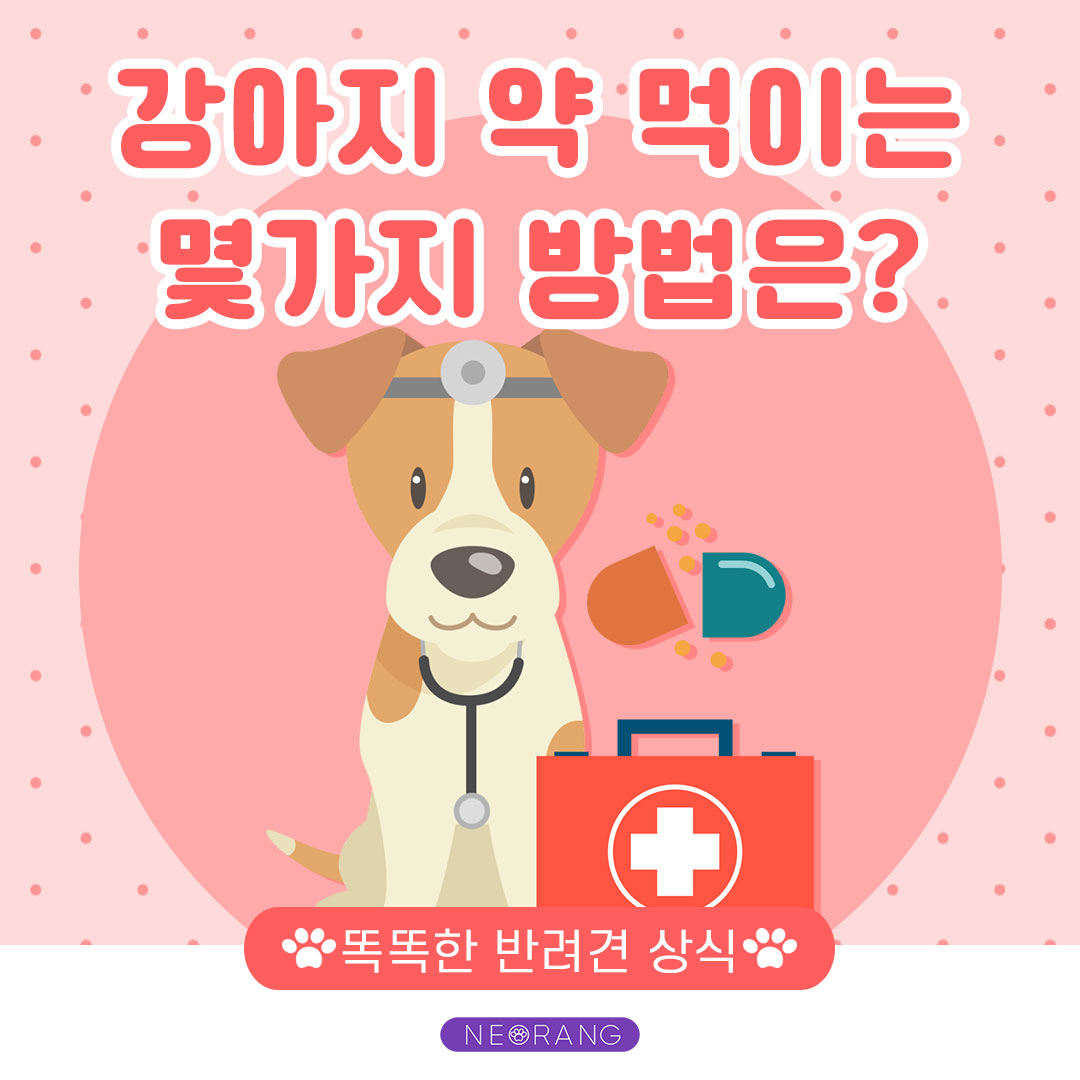 강아지 약 먹이는 몇가지 방법은? : 너랑