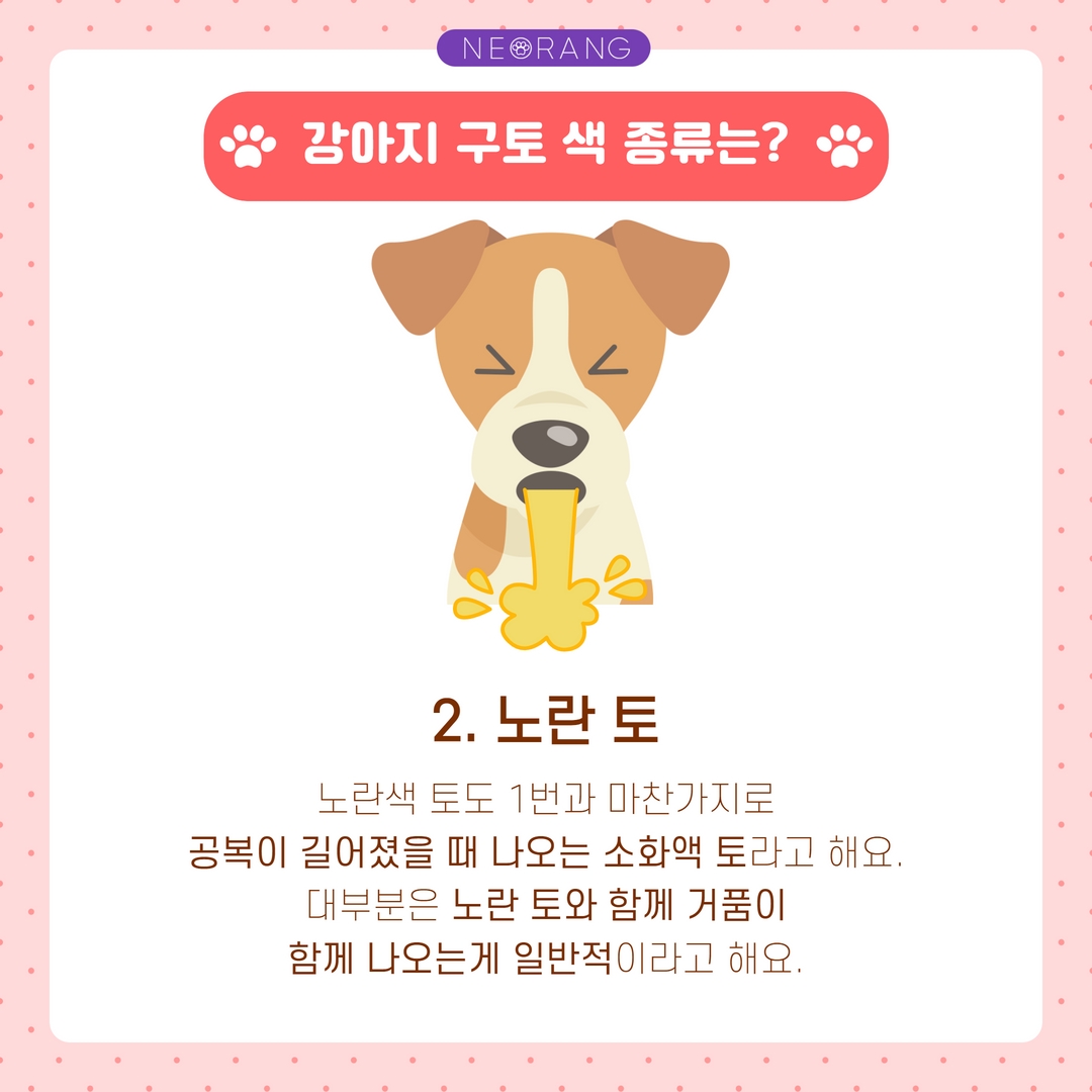 강아지 구토 색에 따른 질병들은? : 너랑