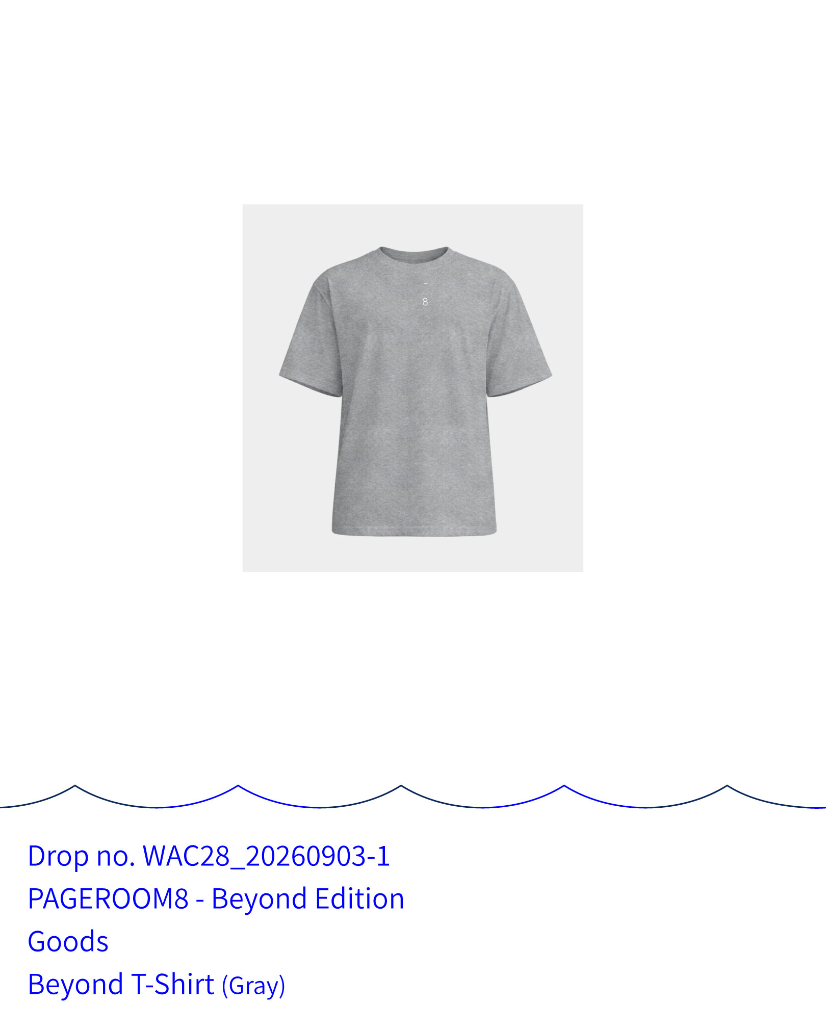페이지룸8 - Beyond T-Shirt (Gray)