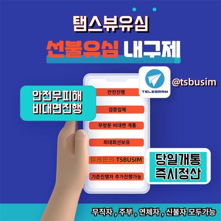 탬스뷰선불유심내구제소액대출