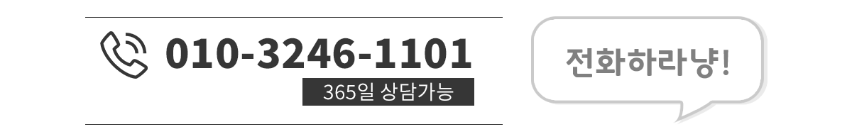 랙돌 제트 / 에프 : 퍼스트캣ㆍ24시 고양이분양ㆍ전국 안심홈서비스