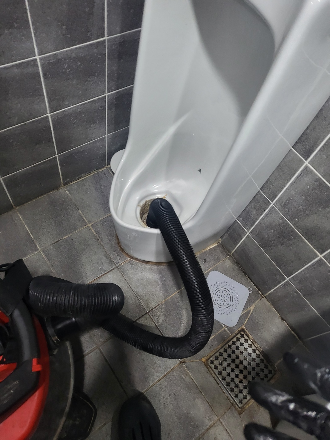 01056731b9d4d.jpg