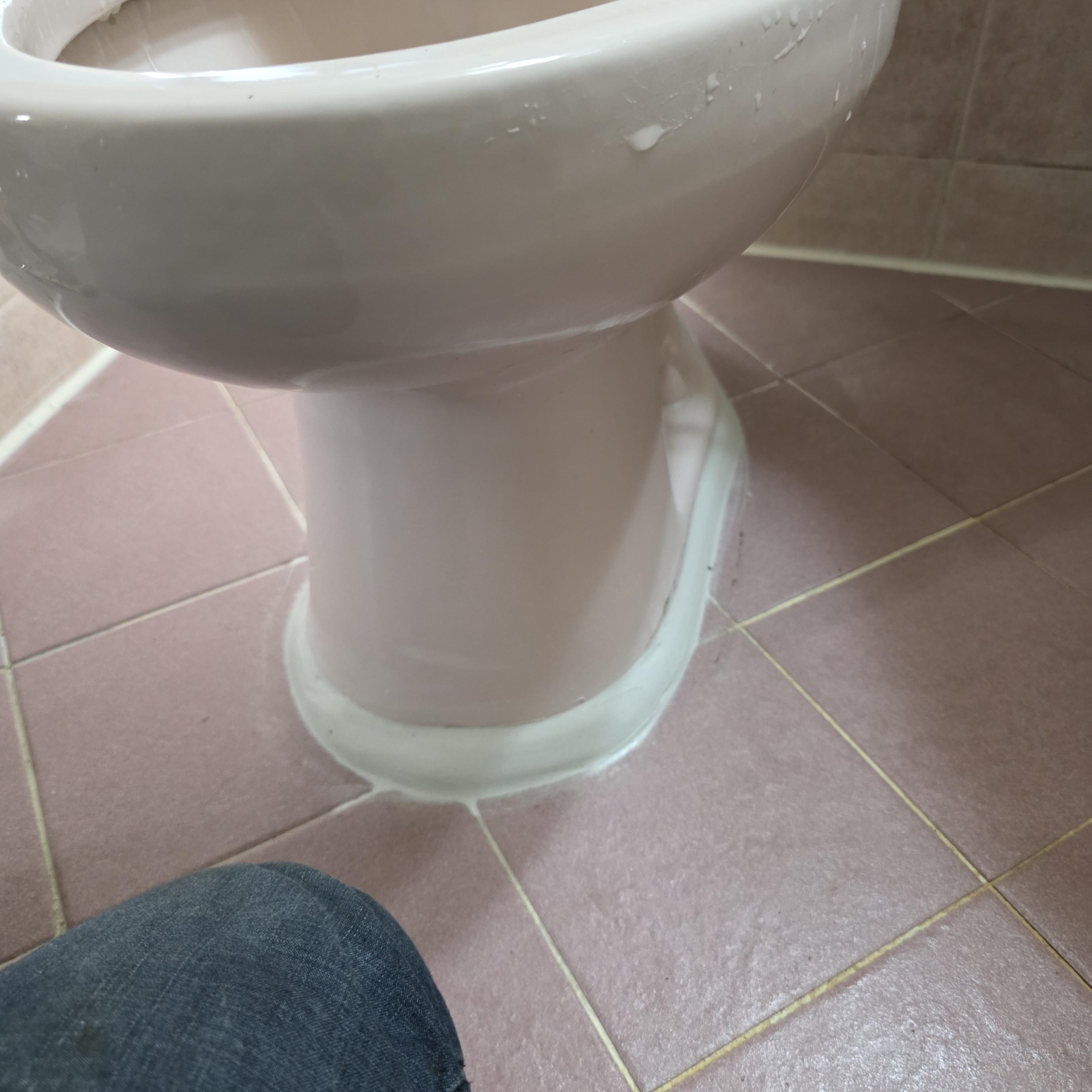 19d7016f652e5.jpg