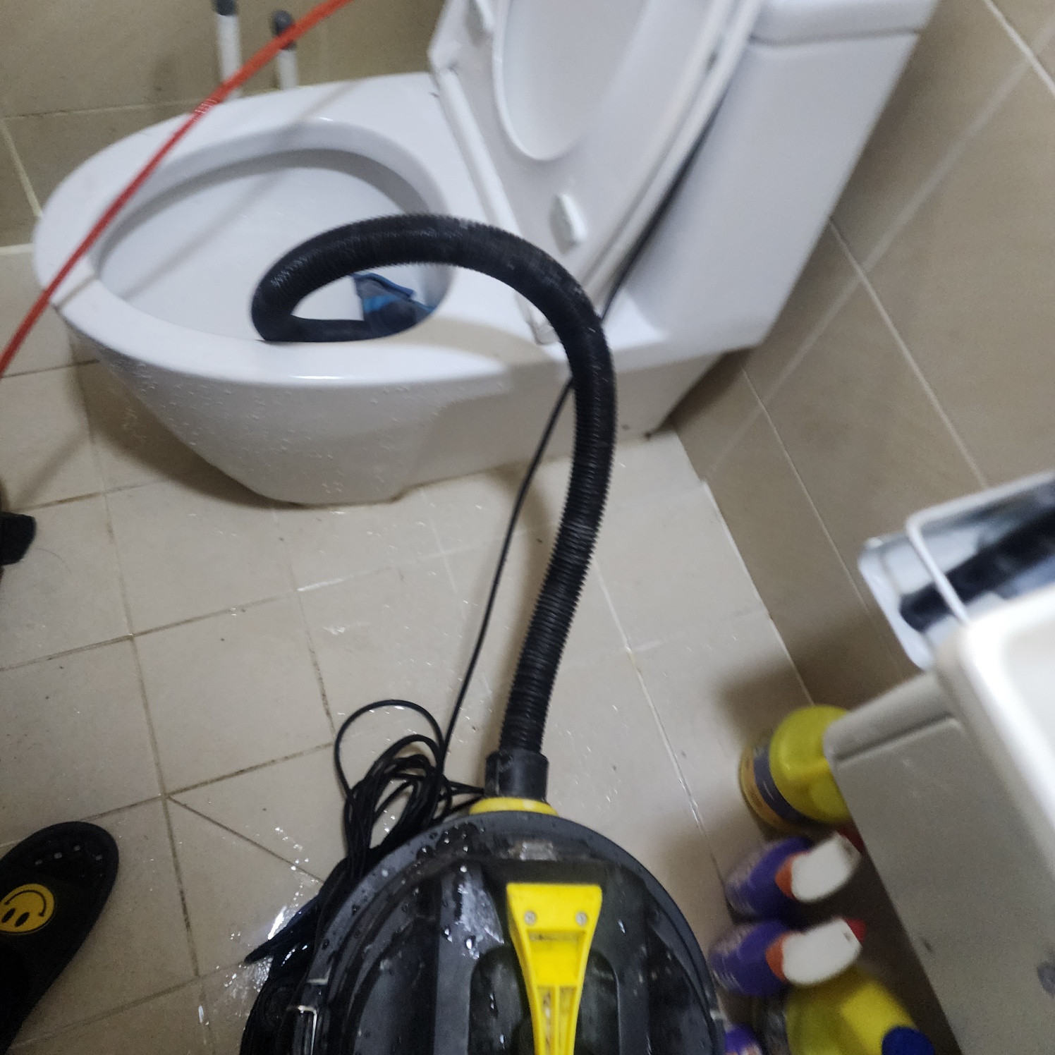 1c6c47a4a5316.jpg