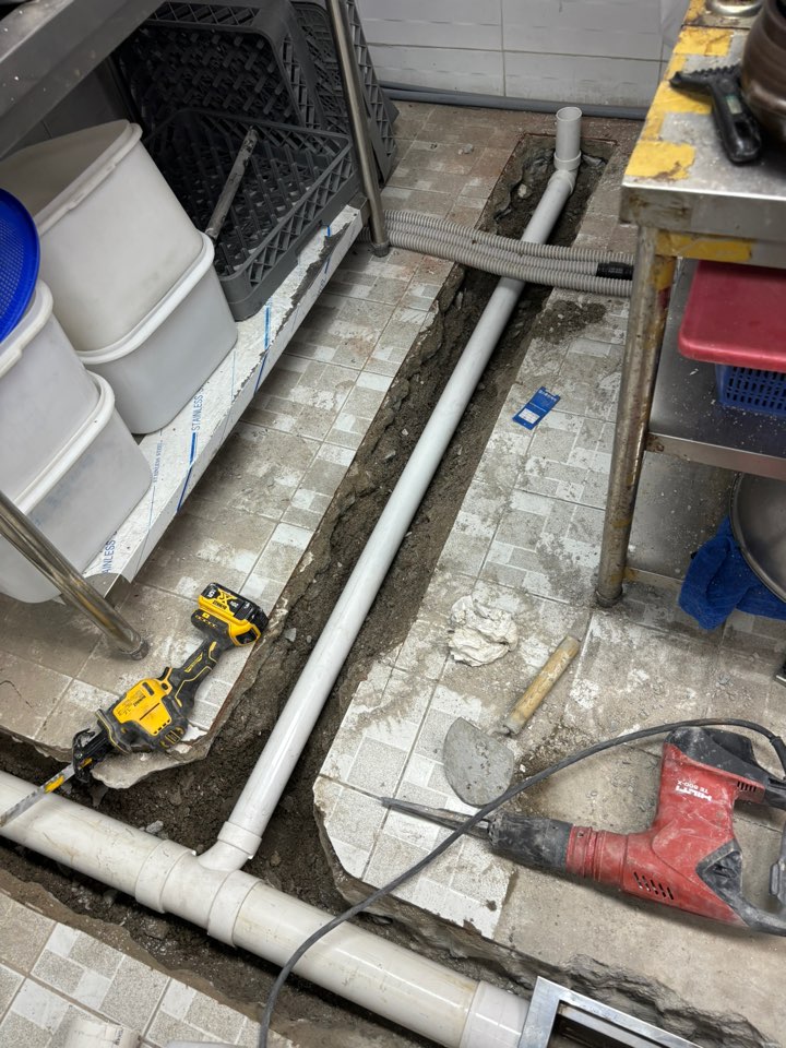 228393af6ef98.jpg