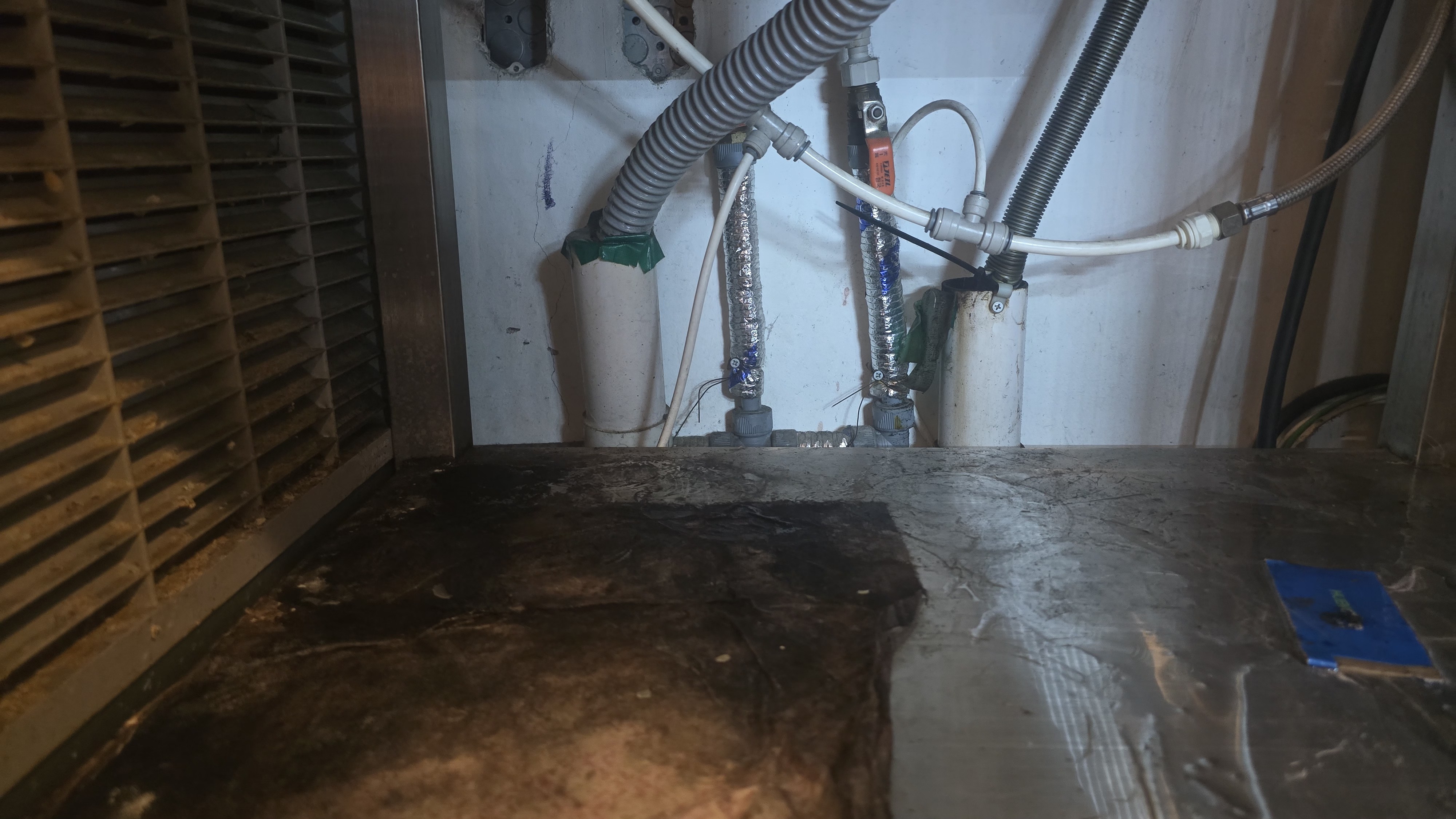 29e199a6679b0.jpg