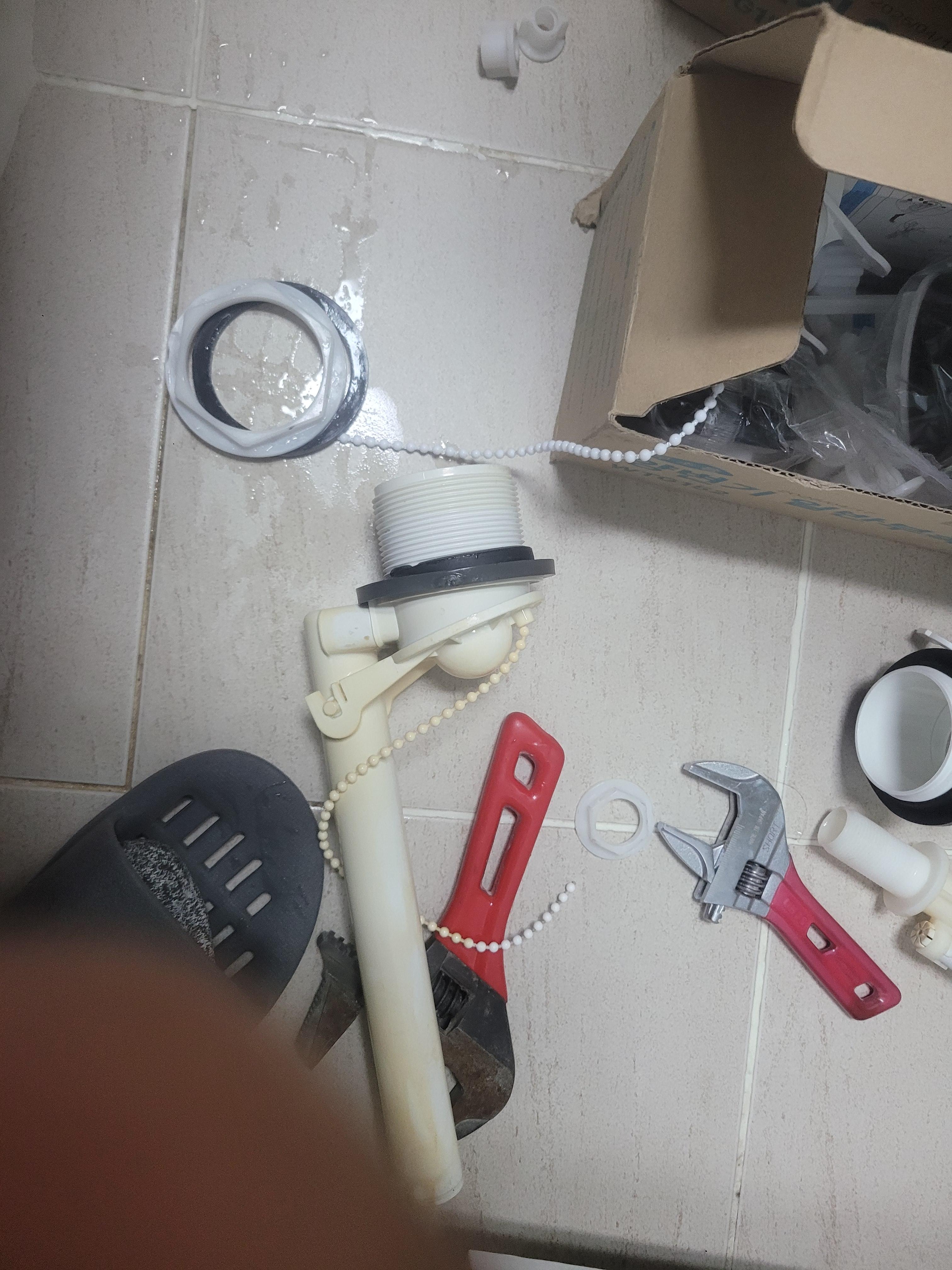 2f316caf3e62a.jpg