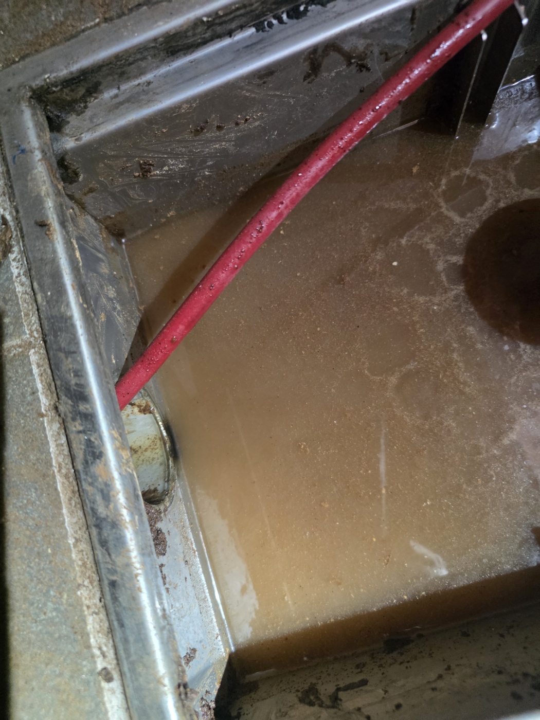 35a29d105dca5.jpg
