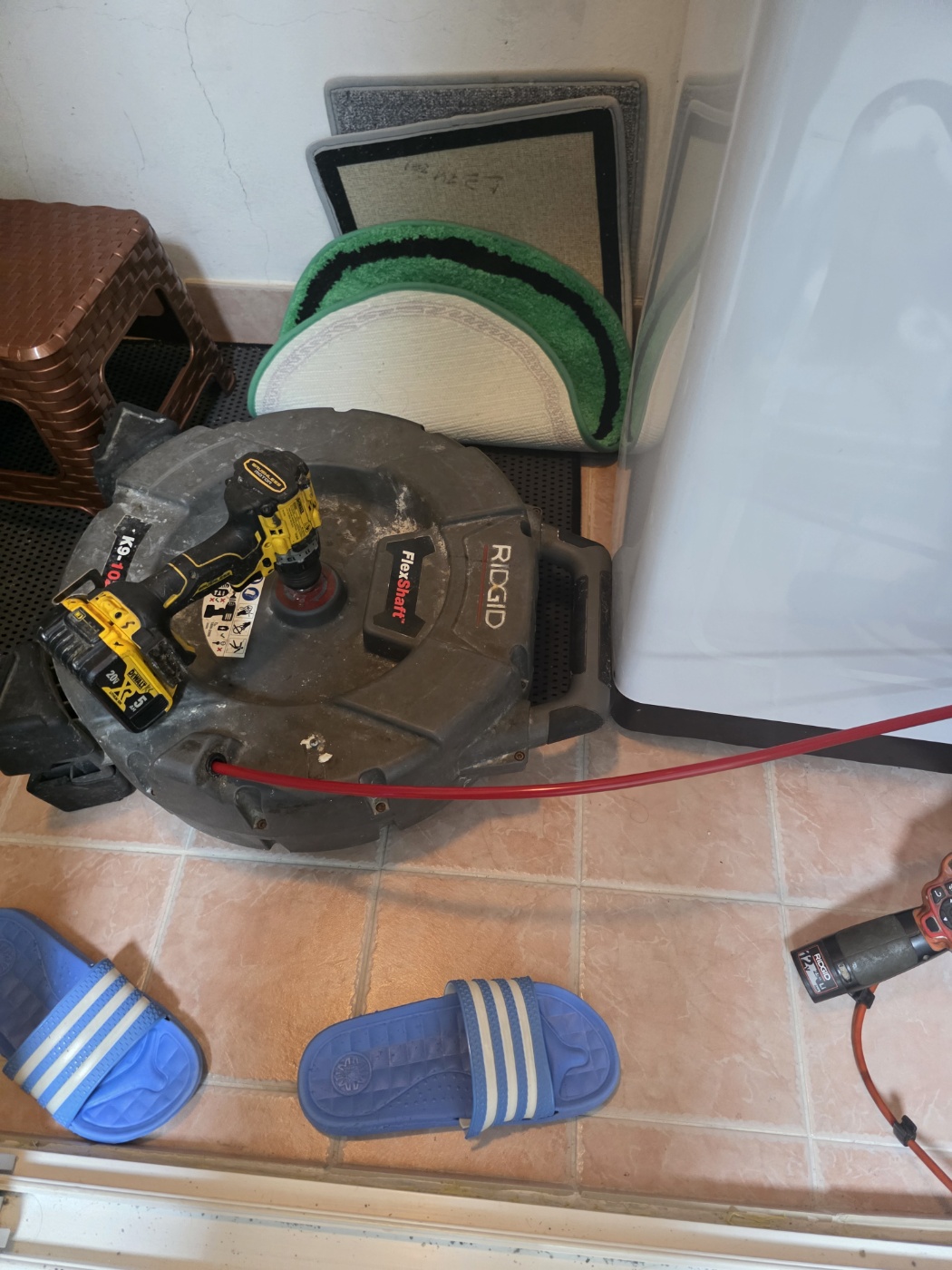 3d541ffc6f60e.jpg