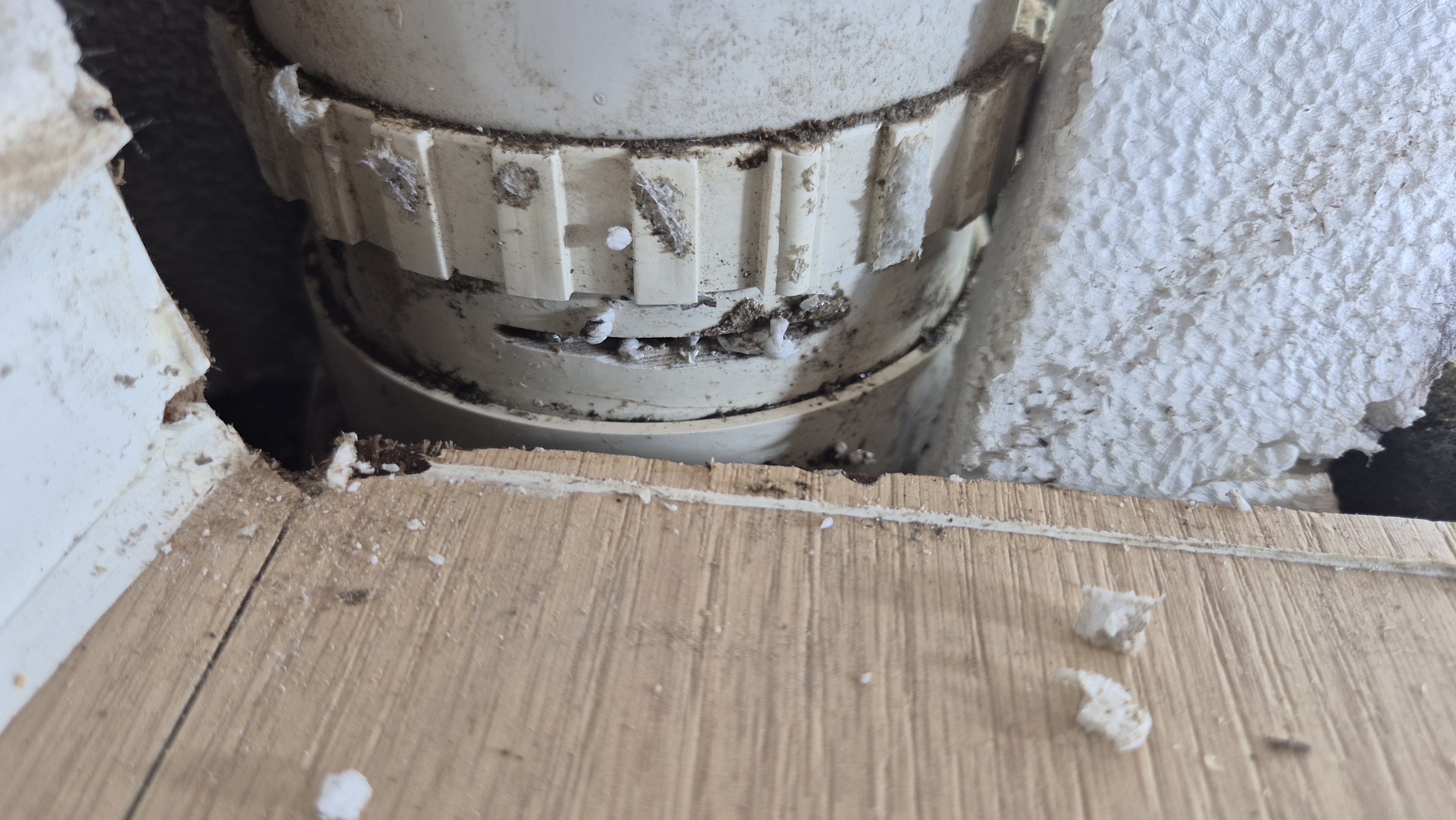 75ca08e64a755.jpg