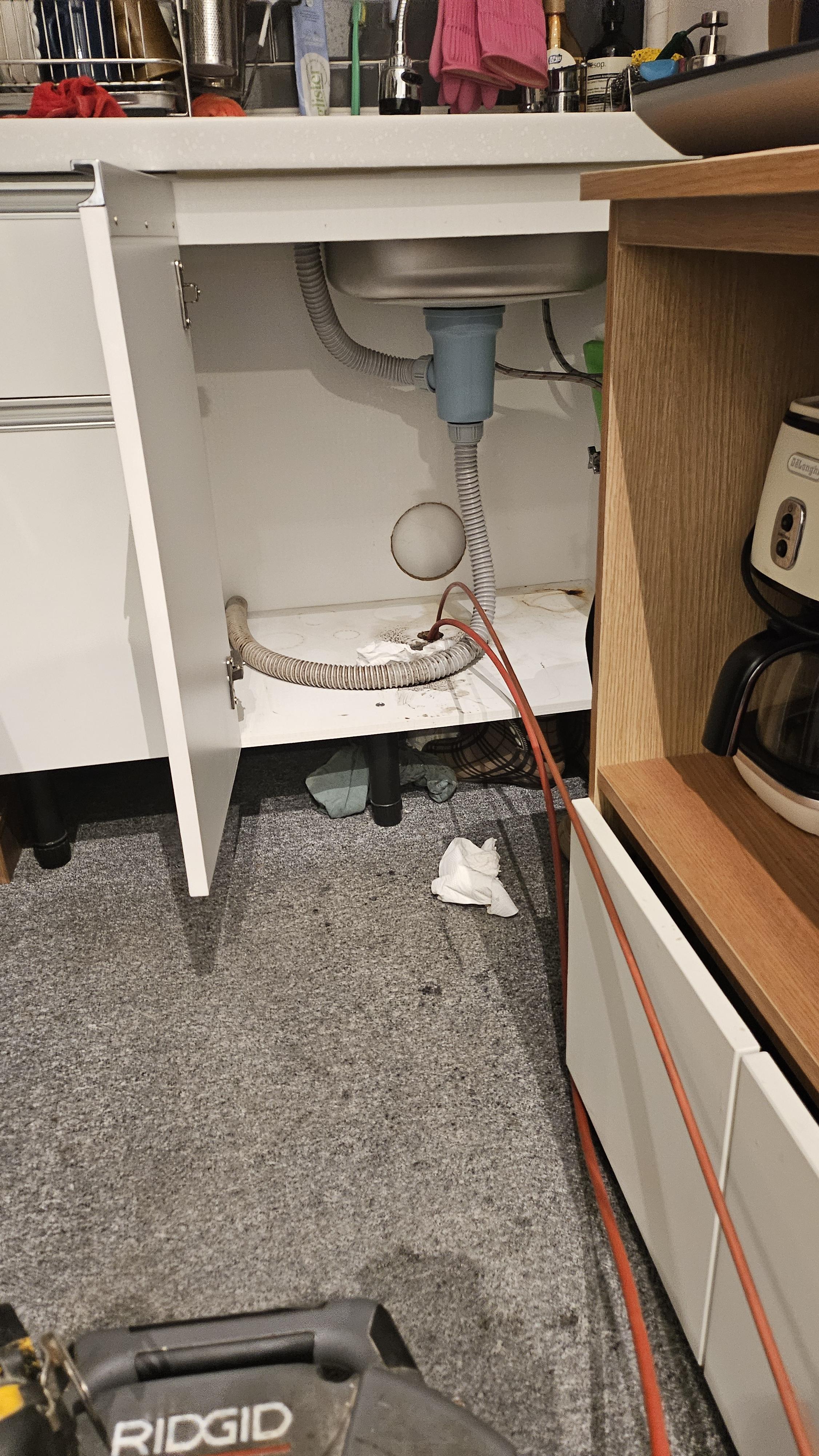8560b6cb6a6a2.jpg