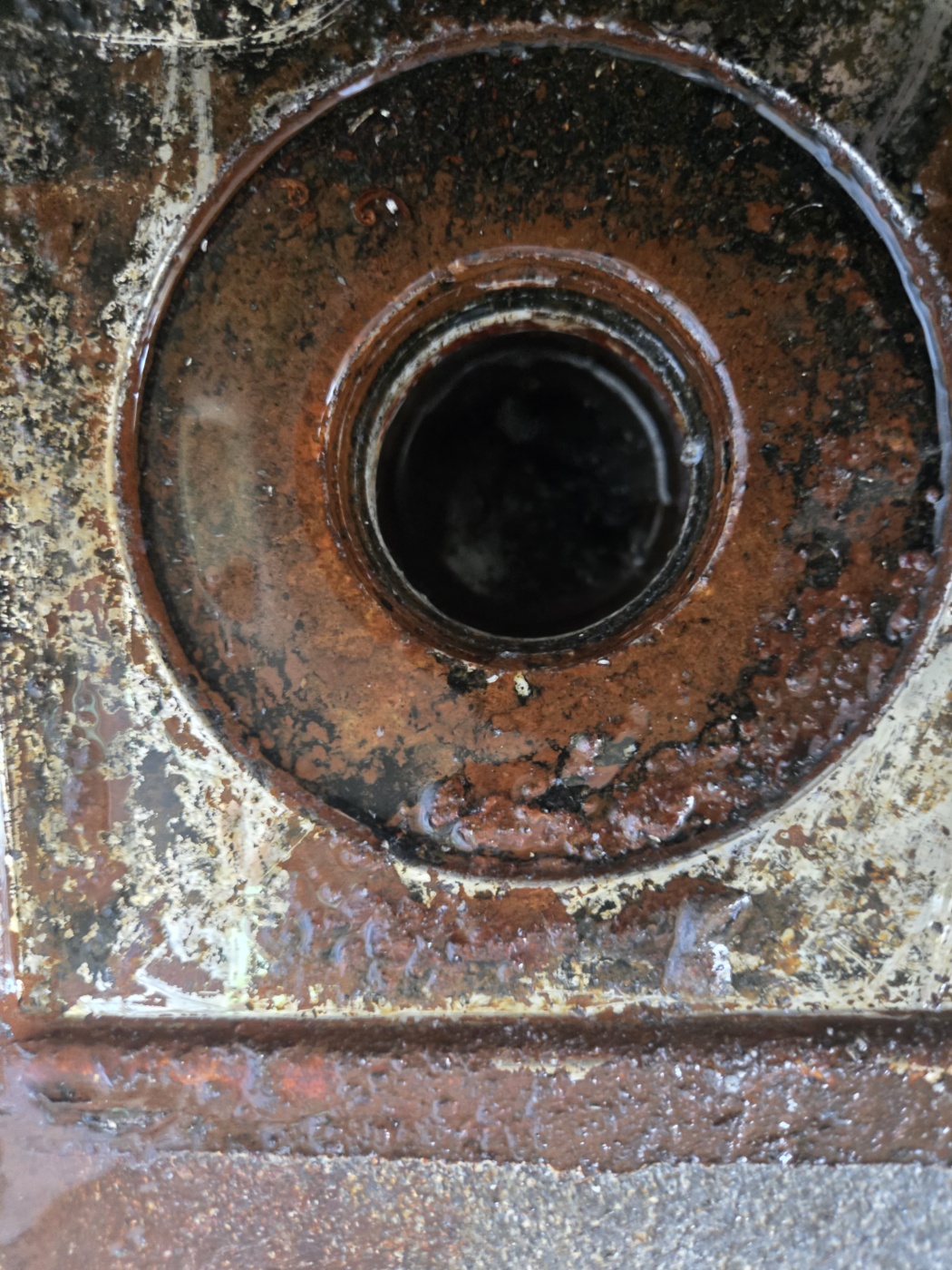 92ba1bde48915.jpg