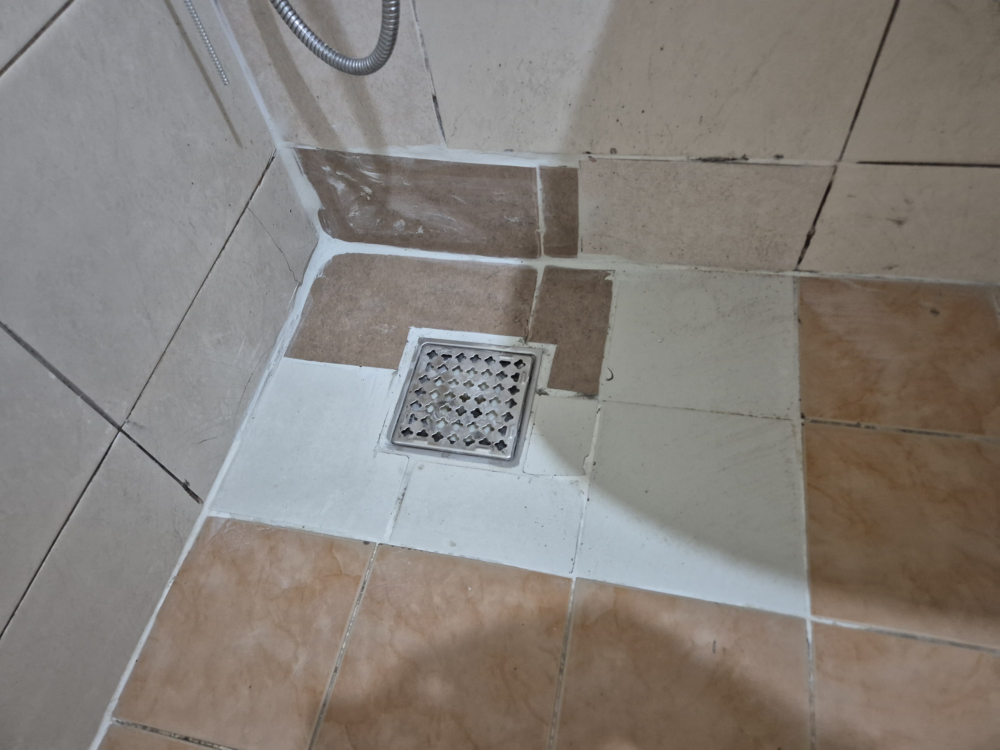 a359225ef4448.jpg