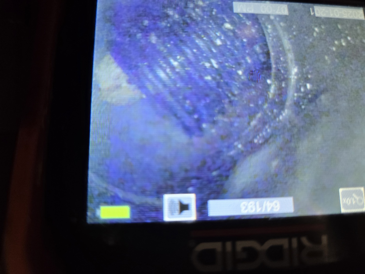 ab5370cf403c4.jpg