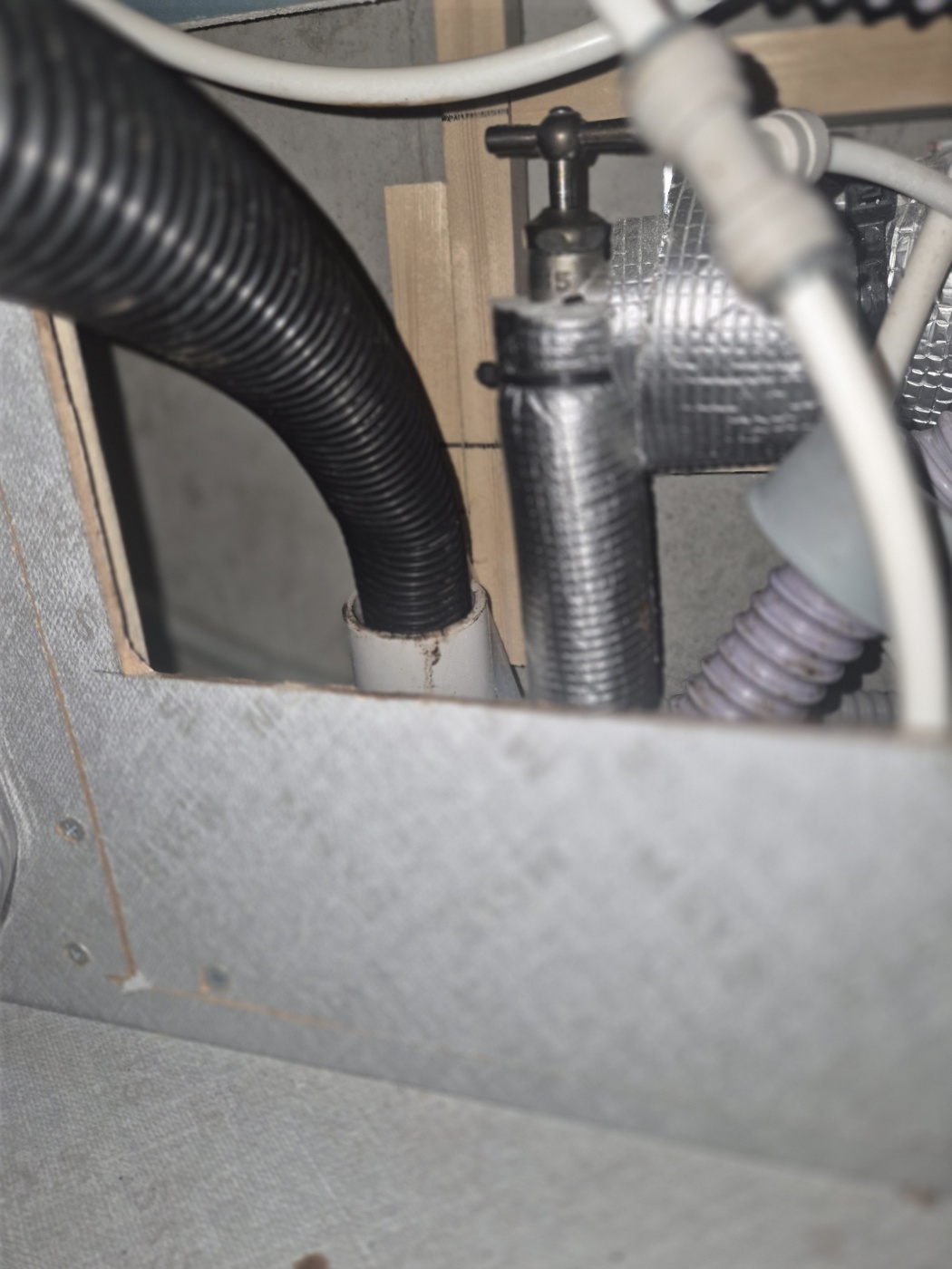 acb7f5509aeb4.jpg