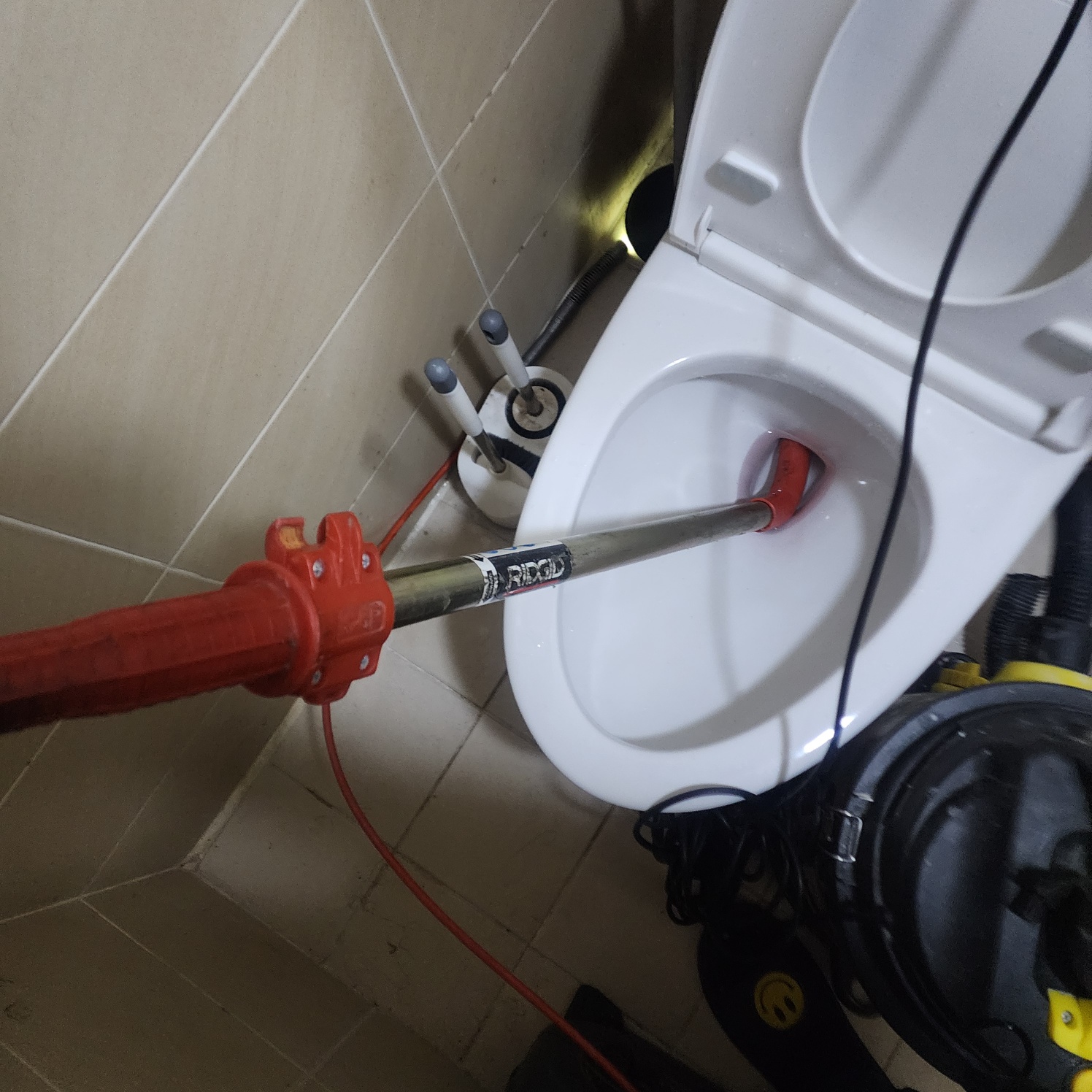 b2a4254d4c349.jpg