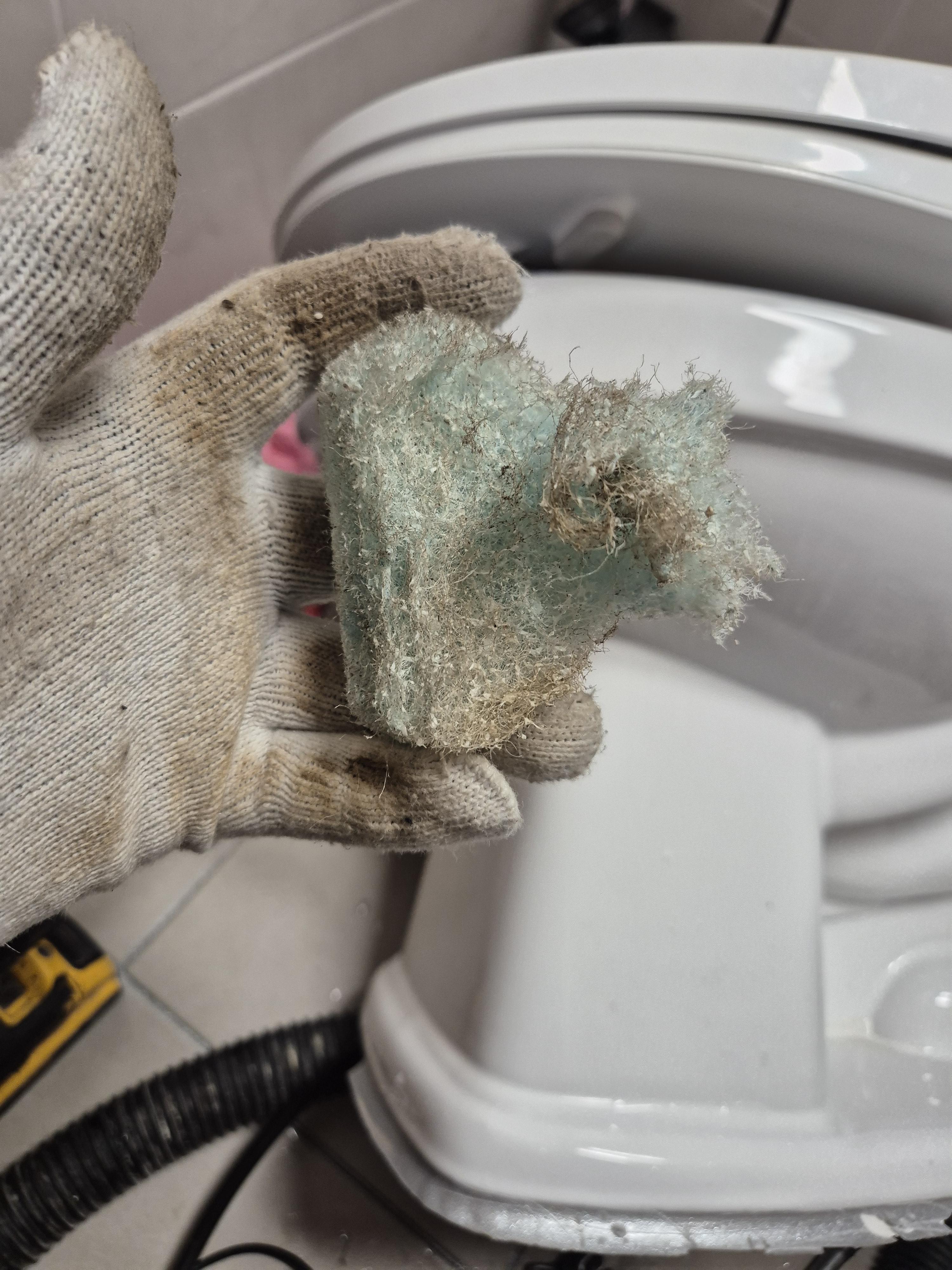 b8341c350ae1e.jpg