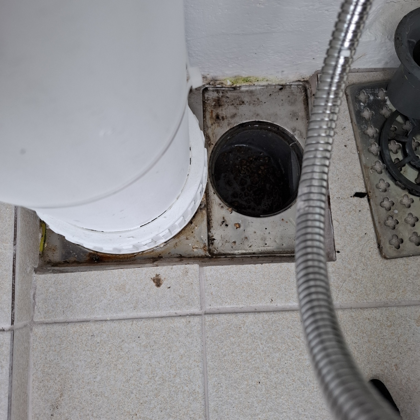 c30f1e97b196e.jpg
