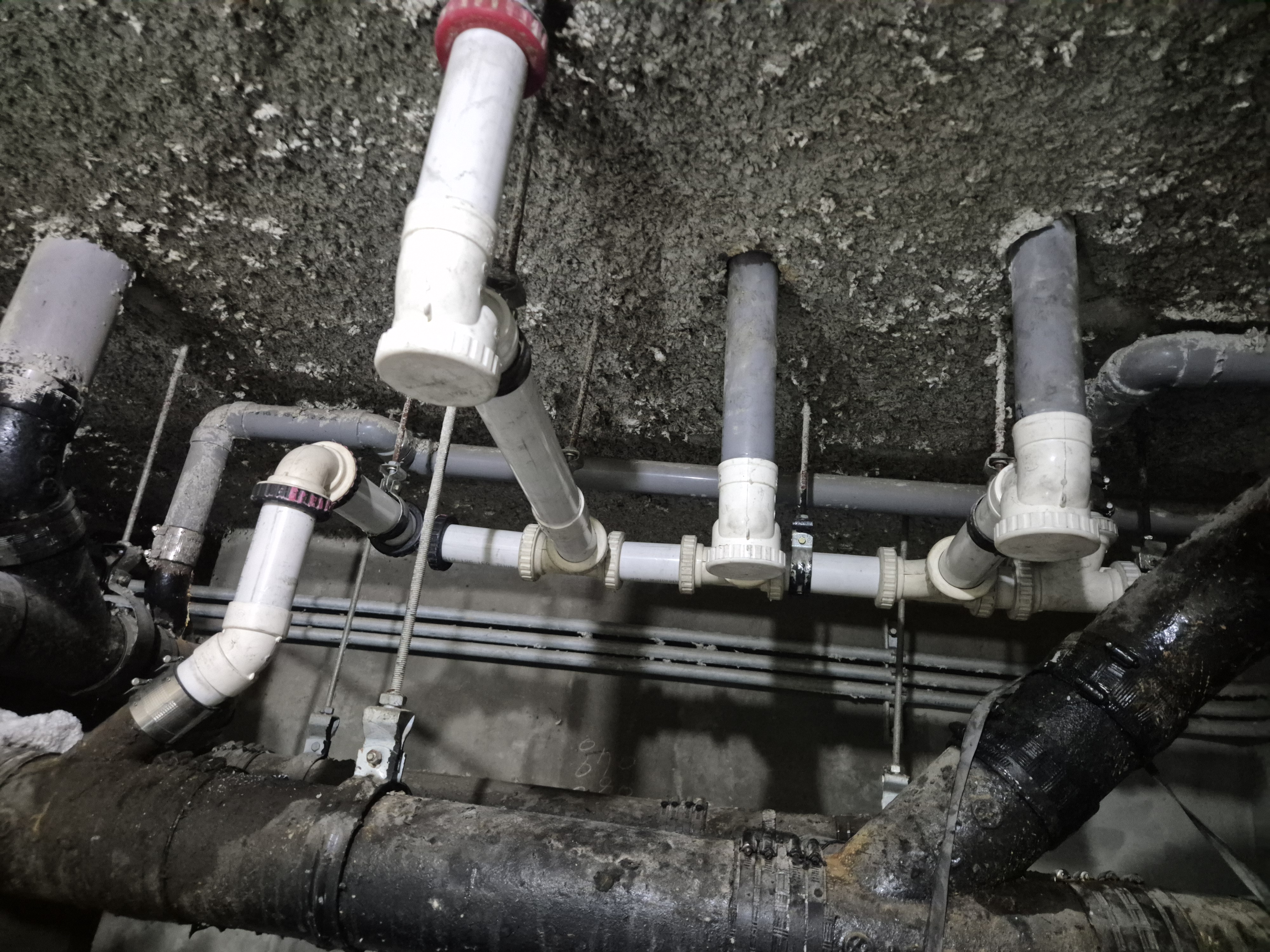 cdd7775a05acd.jpg