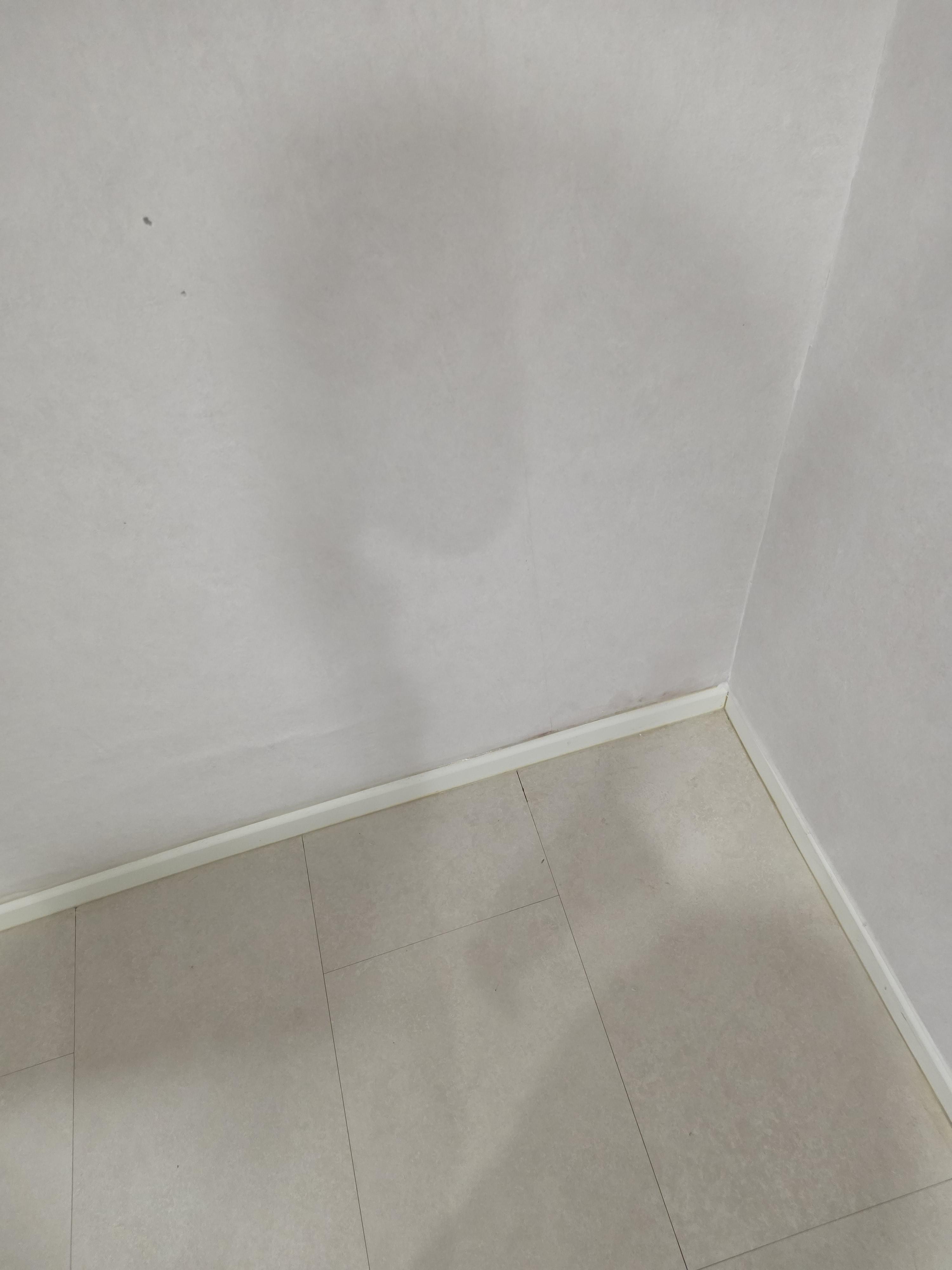 d0a18a259190d.jpg