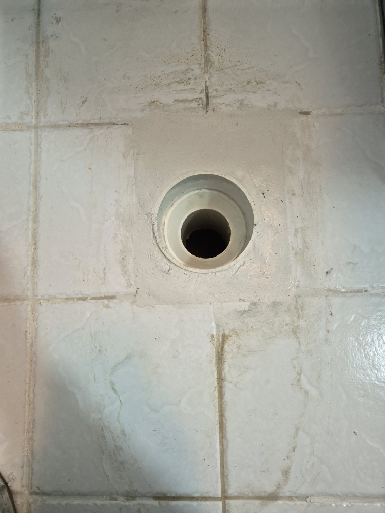 d755c3b1fecbe.jpg