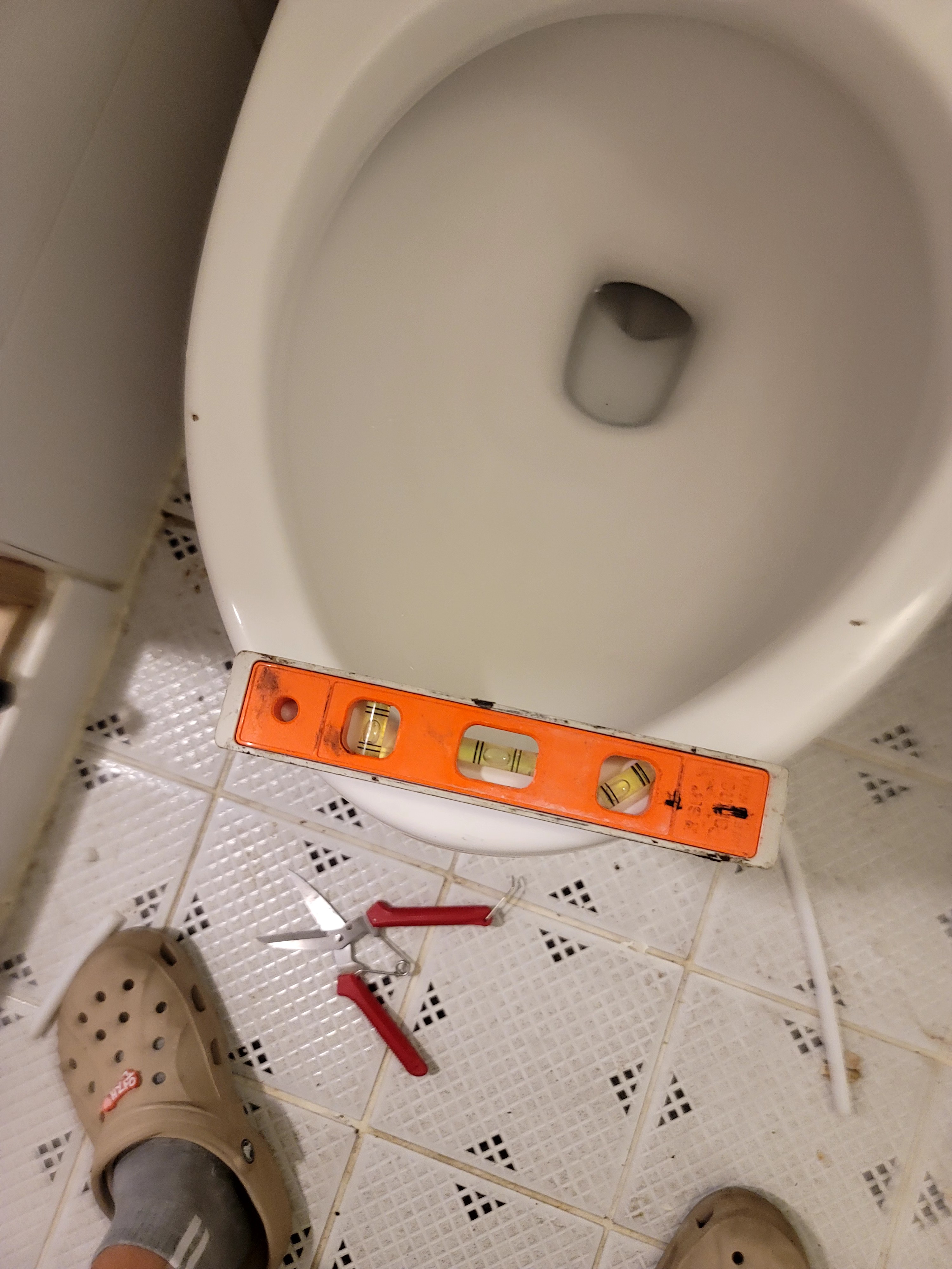 df4df00887690.jpg