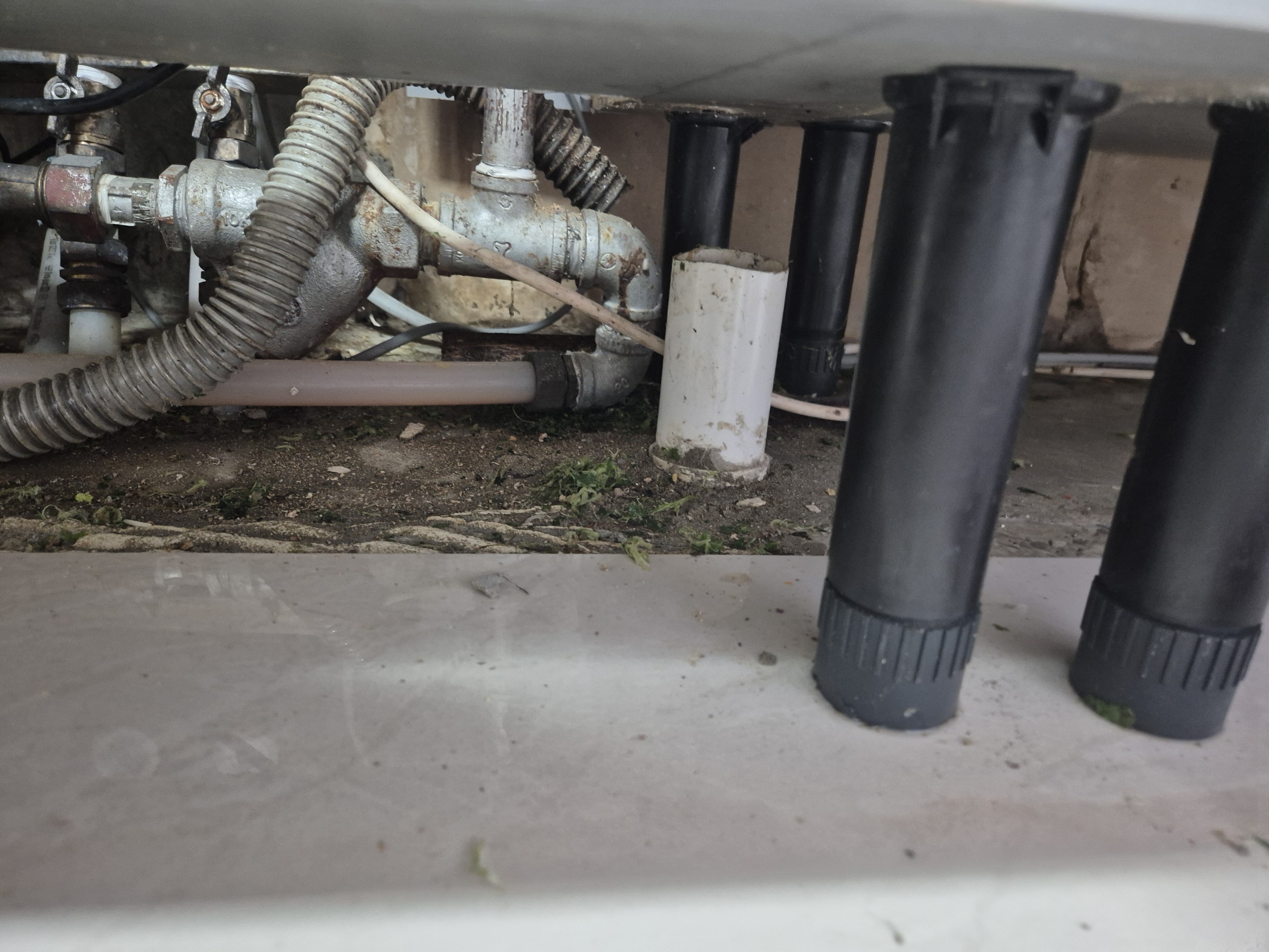 e508cb63cb273.jpg