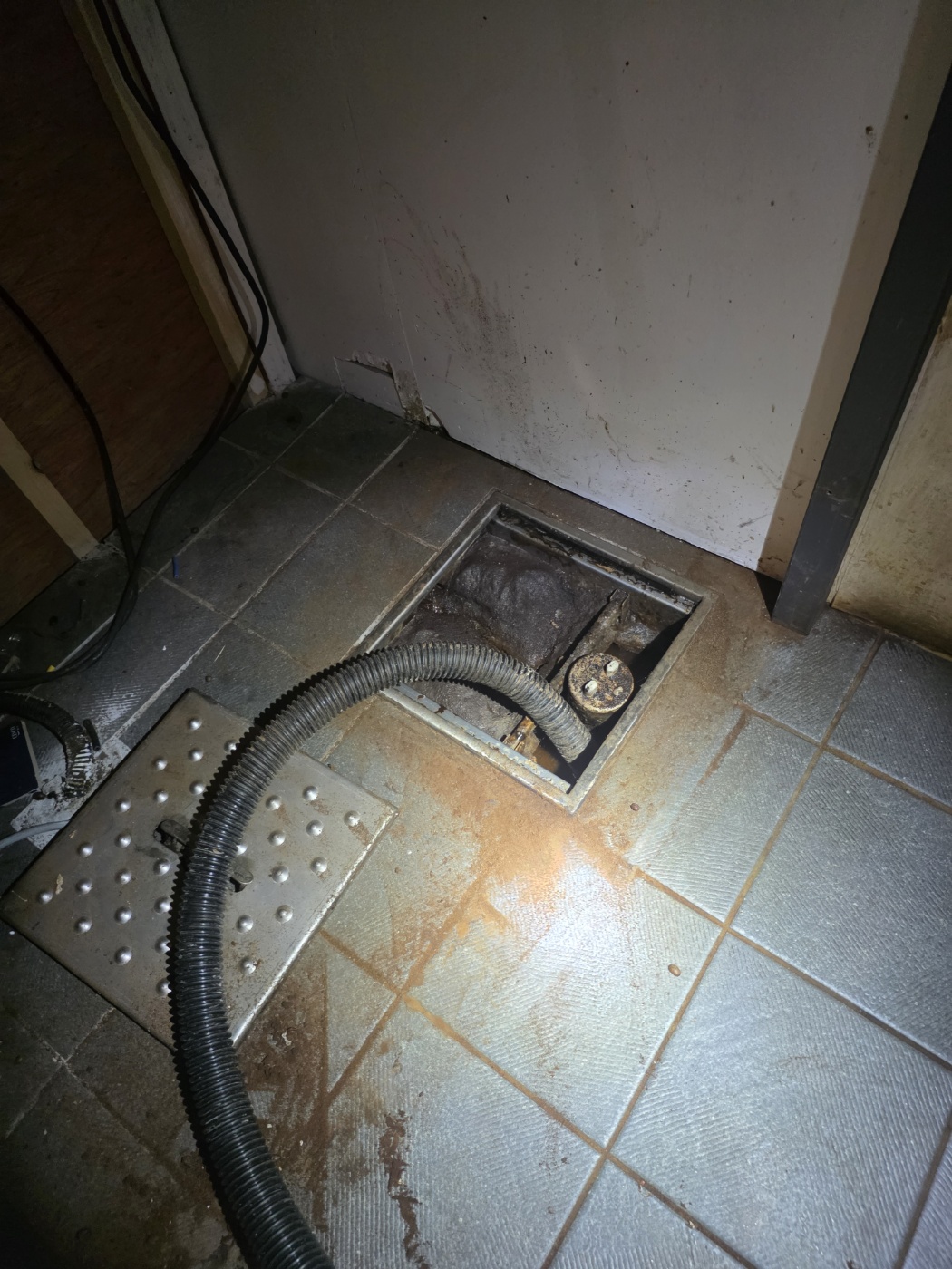 f22f580842595.jpg