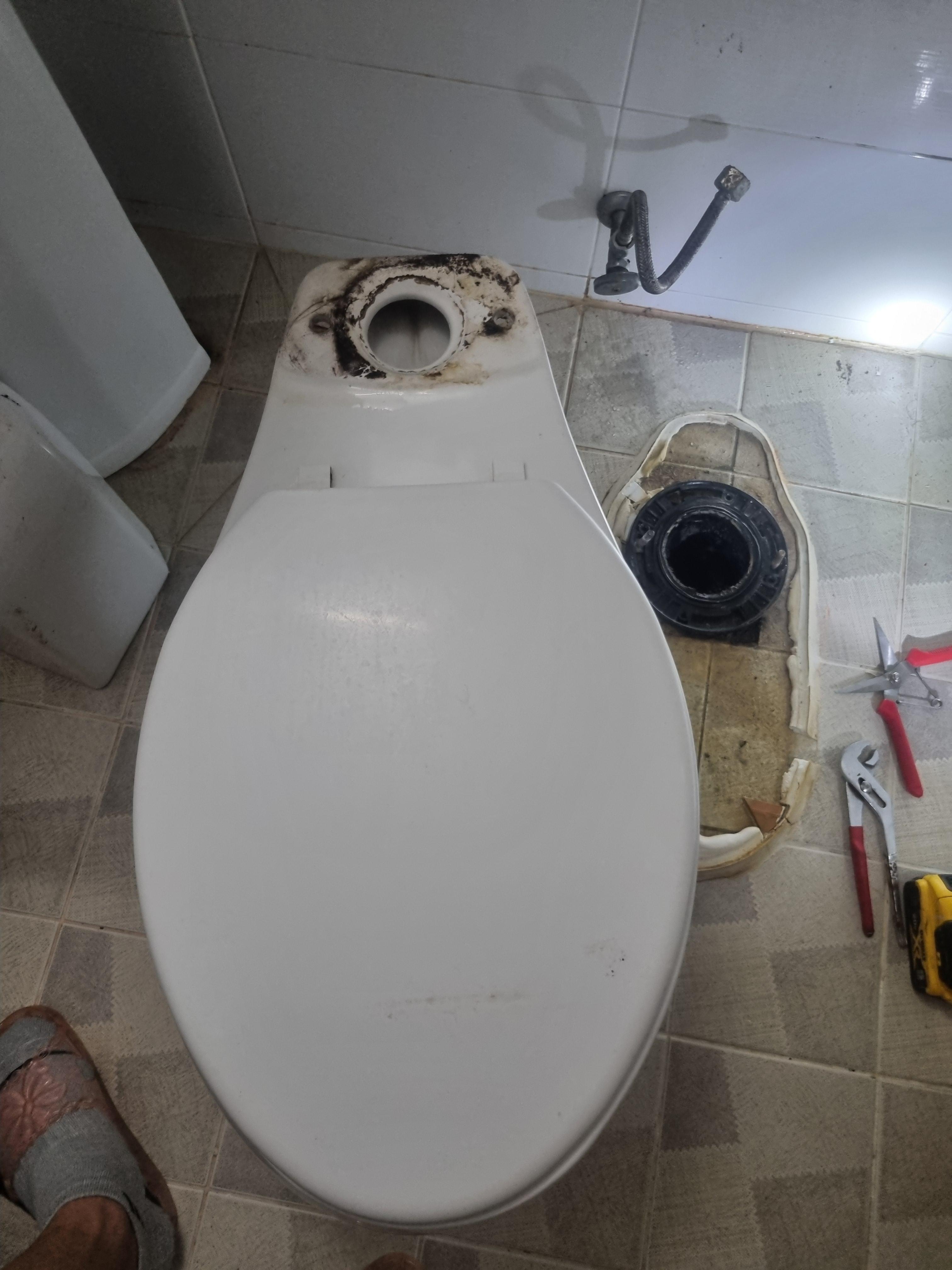 f2e18e5b90da6.jpg