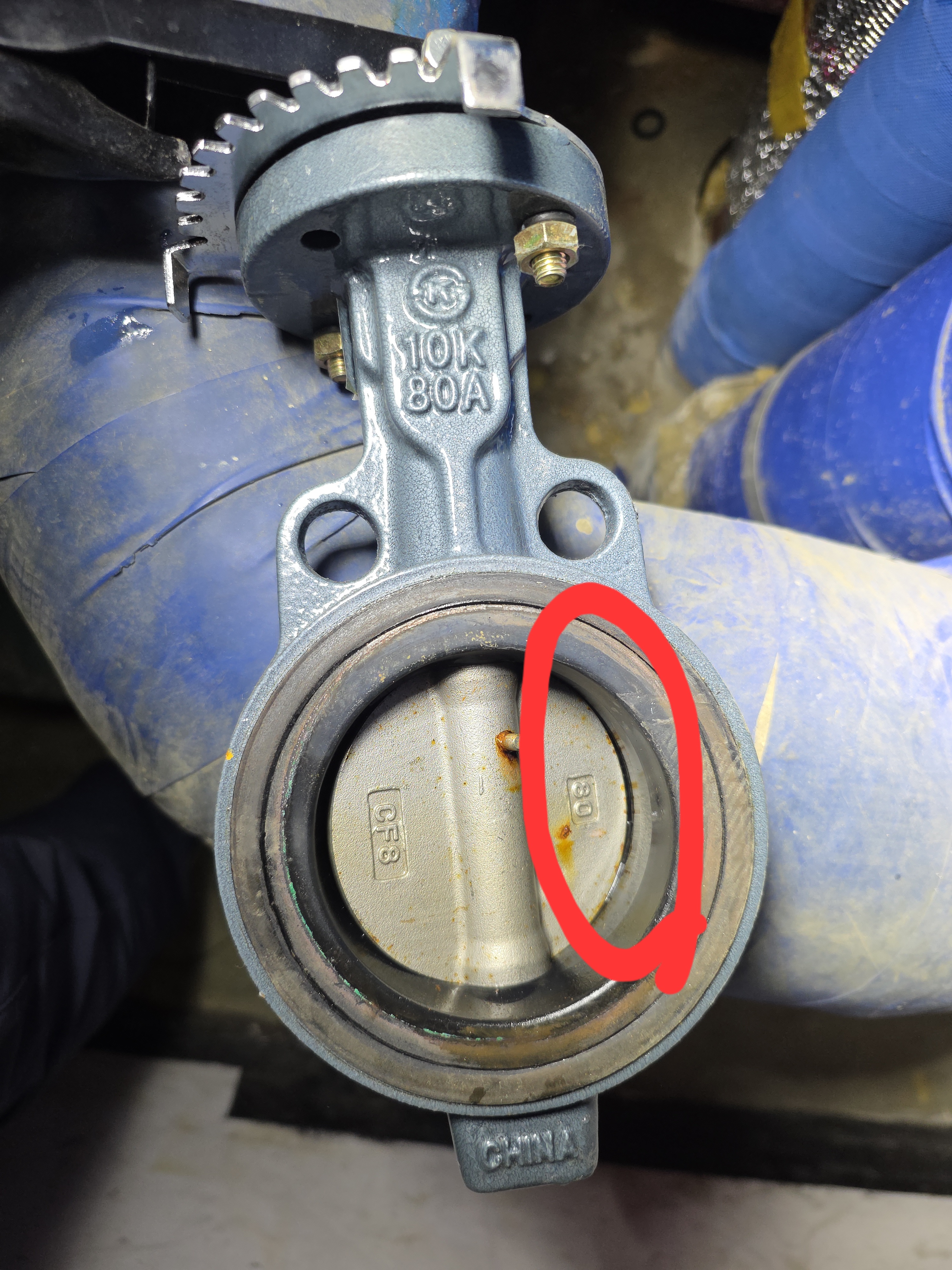 f958fa328b3a4.jpg
