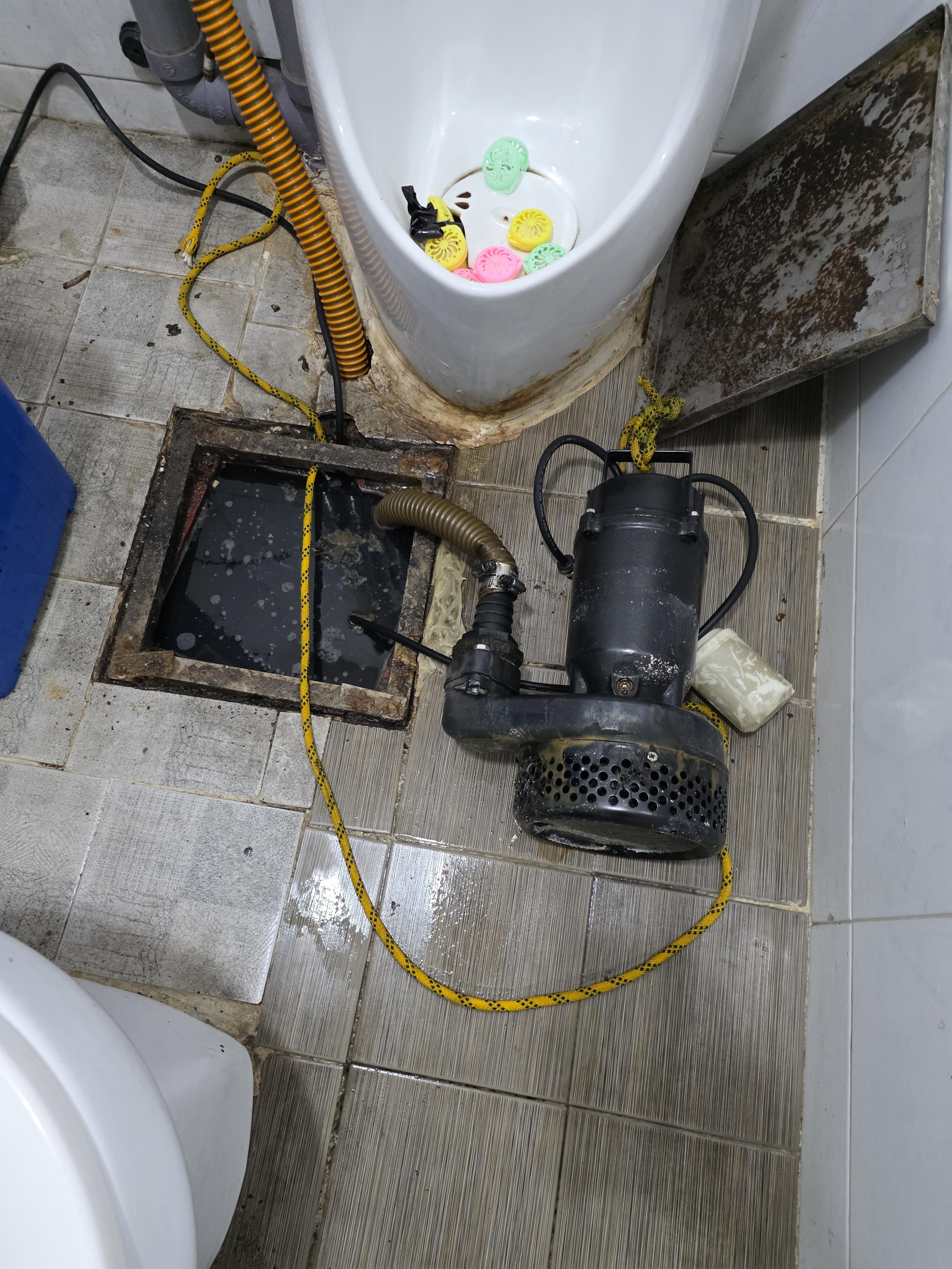 fa03f613fbd35.jpg