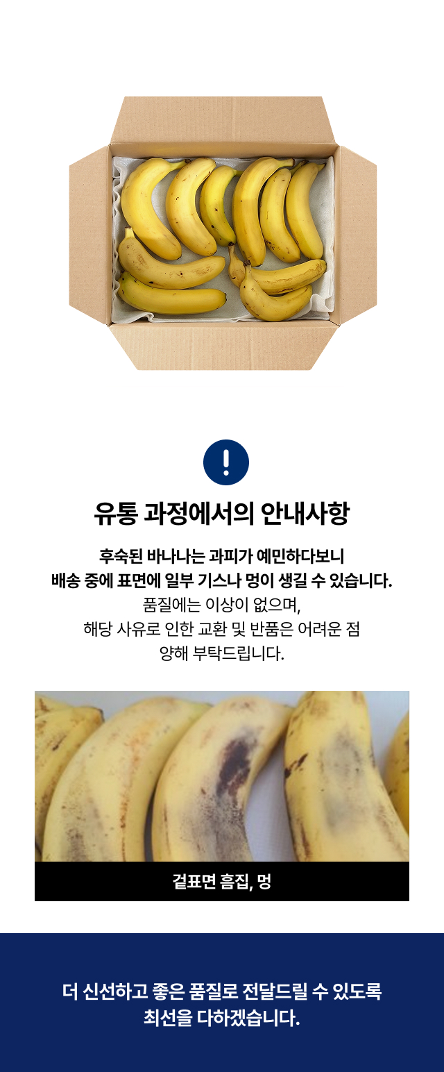 후숙 바나나 박스 포장 배송 - 카페 매장 신선 직송 업소용 도매 바나나