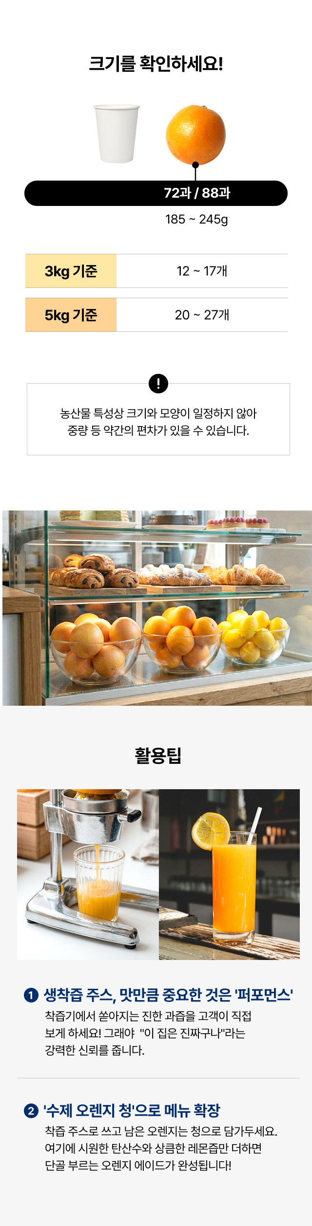 종이컵 대비 오렌지 중과 대과 사이즈 비교 및 생착즙 주스 수제 청 활용 레시피 팁
