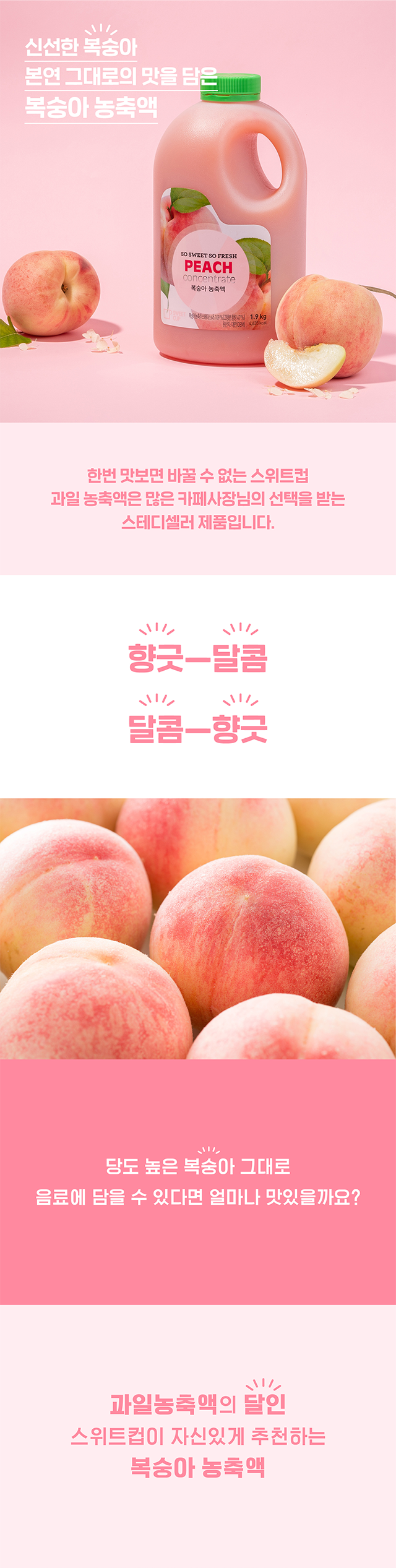 스위트컵 복숭아 농축액 1.8kg 제품 이미지 – 달콤하고 향긋한 복숭아 본연의 맛을 담은 농축액 패키지와 잘 익은 복숭아 연출